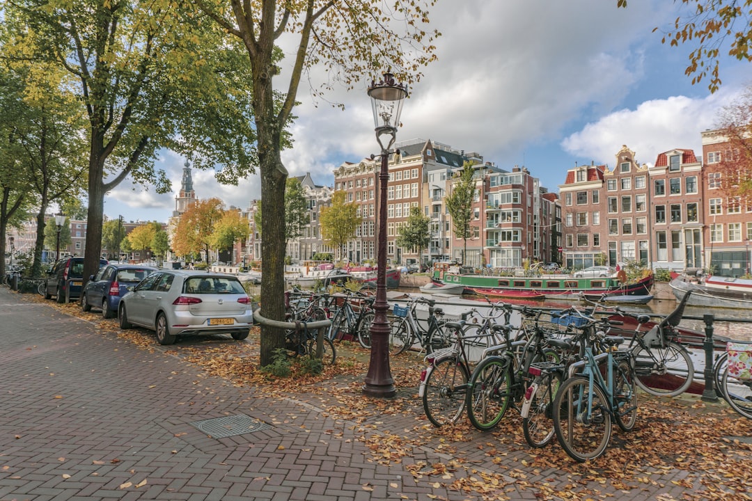 Netherlands: Freedom, Tolerance, and Togetherness (image credits: unsplash)
