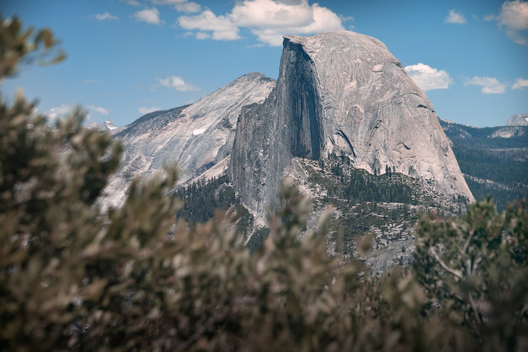 Yosemite National Park, USA: Nature’s Beauty, Nature’s Risks (image credits: unsplash)