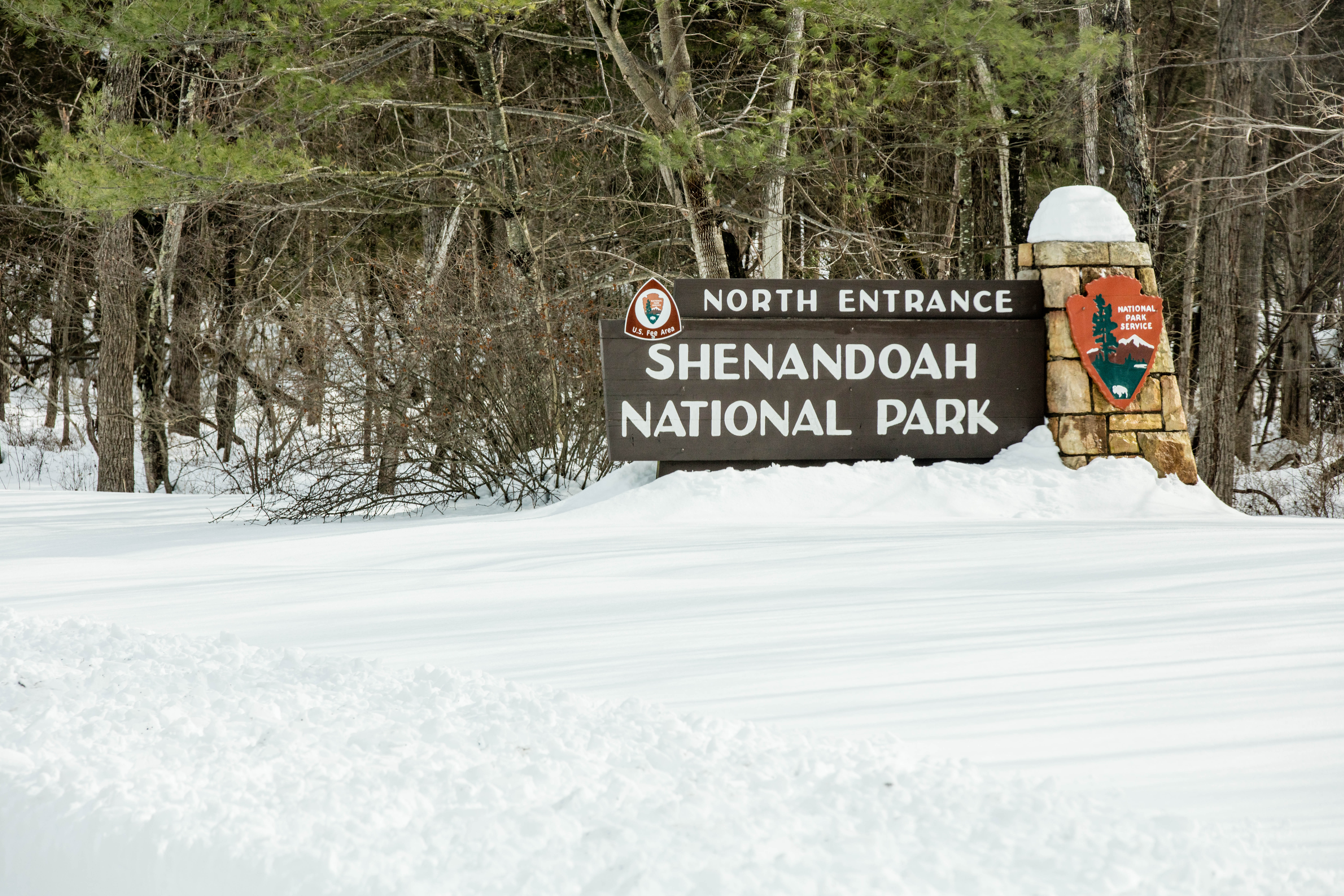 Shenandoah National Park: Blue Ridge Beauty Without the Crowds (image credits: wikimedia)