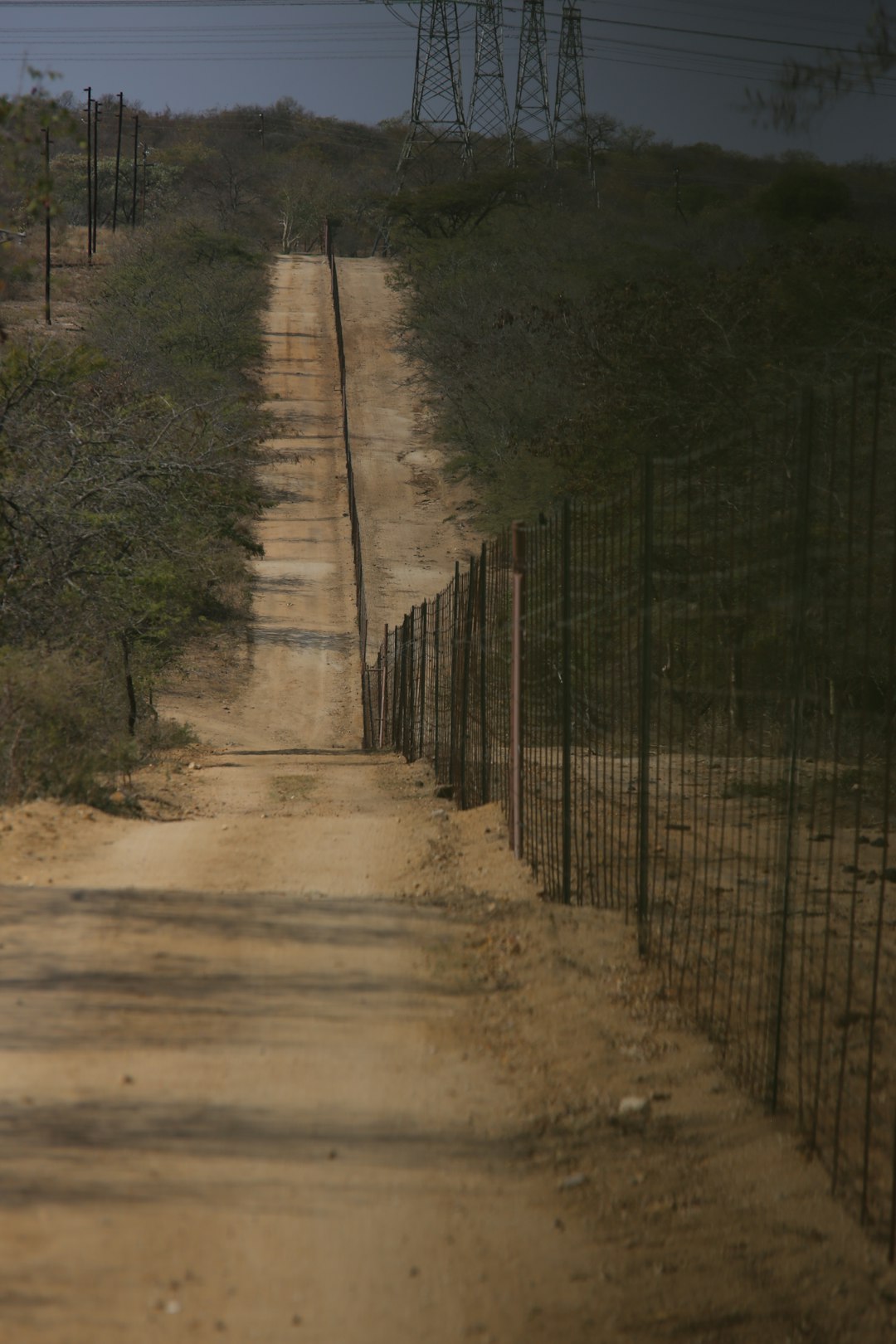 The Israel-Palestine Border – A Complex Reality (image credits: unsplash)