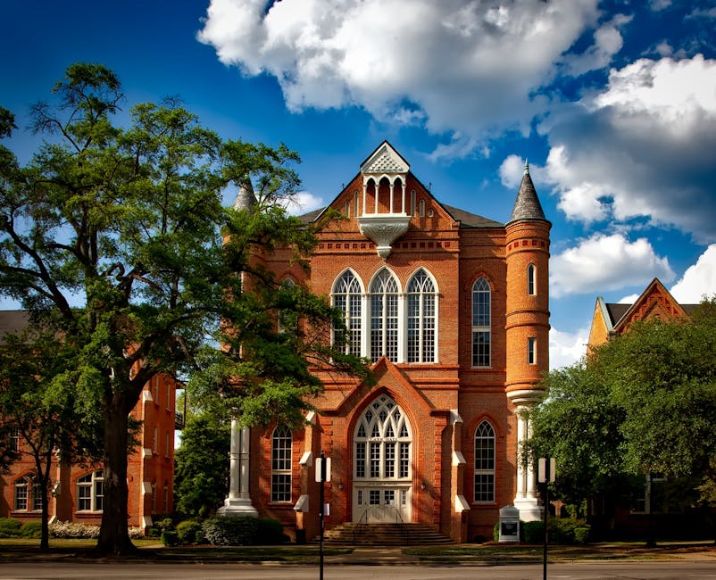 Alabama: Sweet Home Sleepy-bama (image credits: pexels)