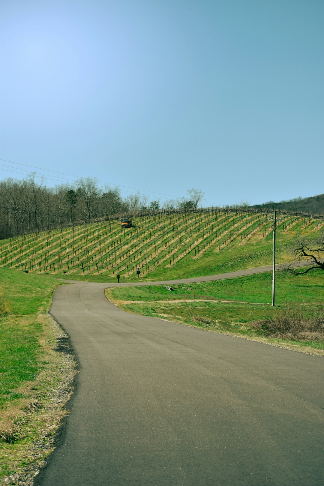 The Role of Terroir (image credits: unsplash)