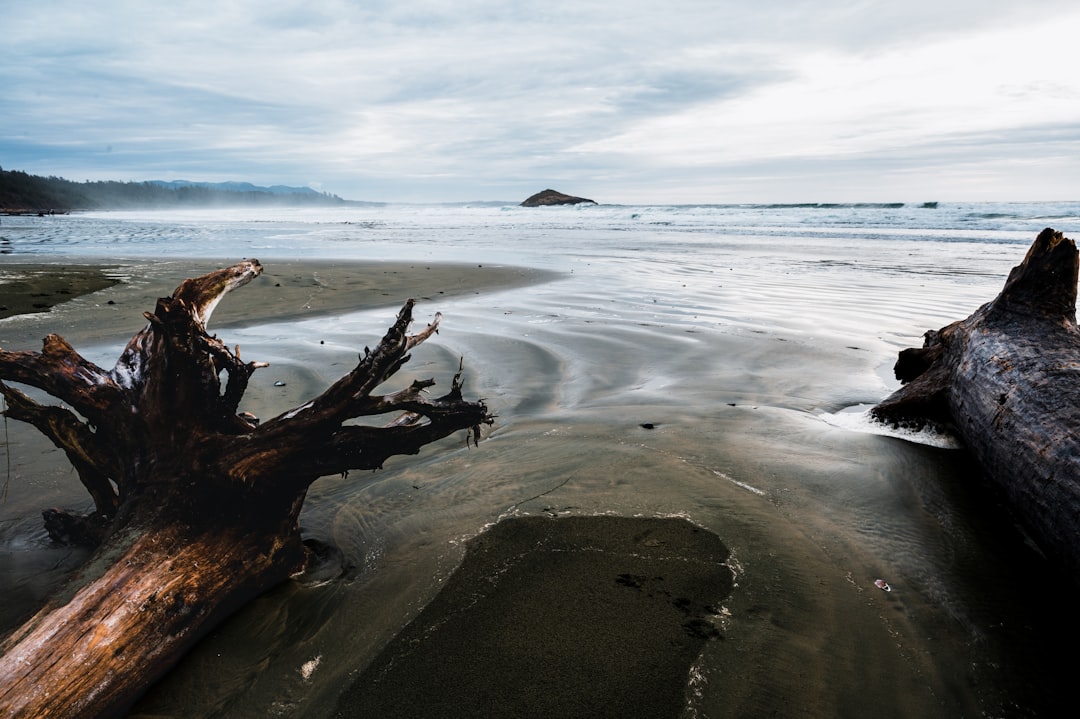Tofino, British Columbia (image credits: unsplash)