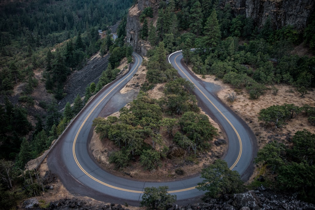 The Historic Columbia River Highway, Oregon (image credits: unsplash)