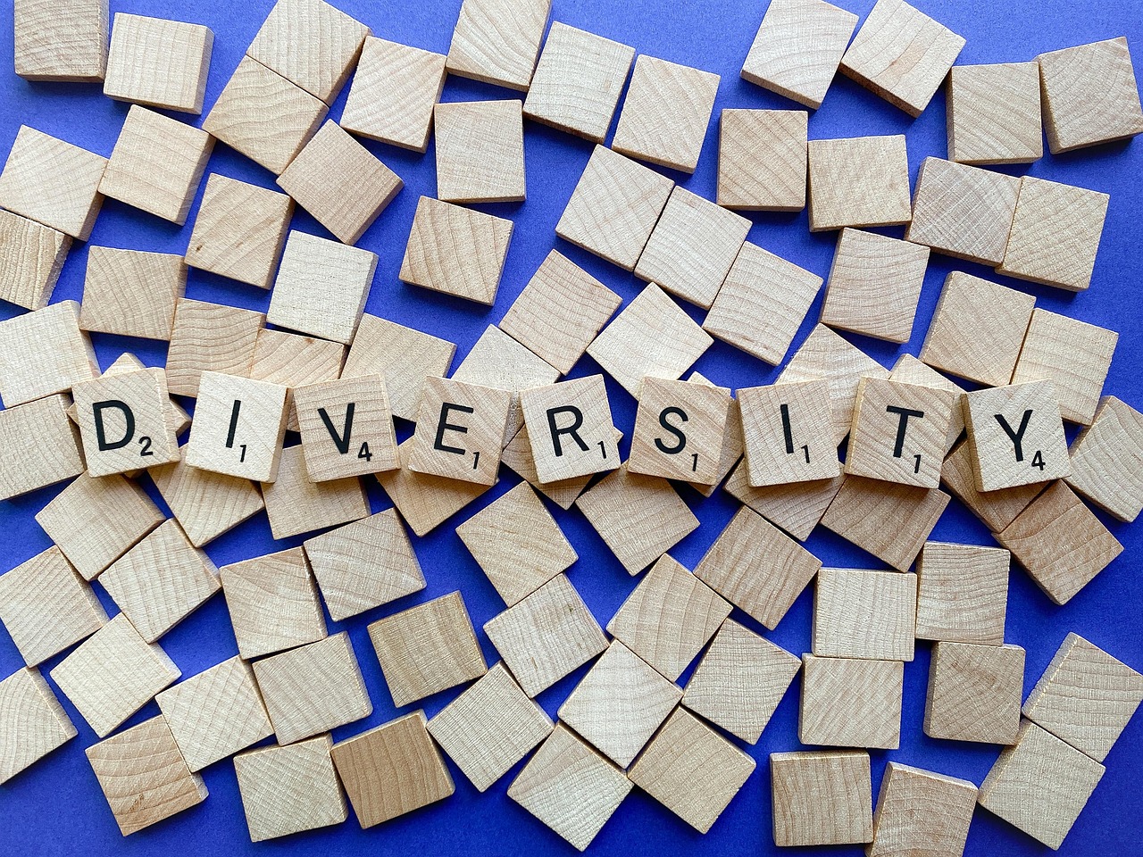 Diversity and Inclusion: A Canadian Strength (image credits: pixabay)