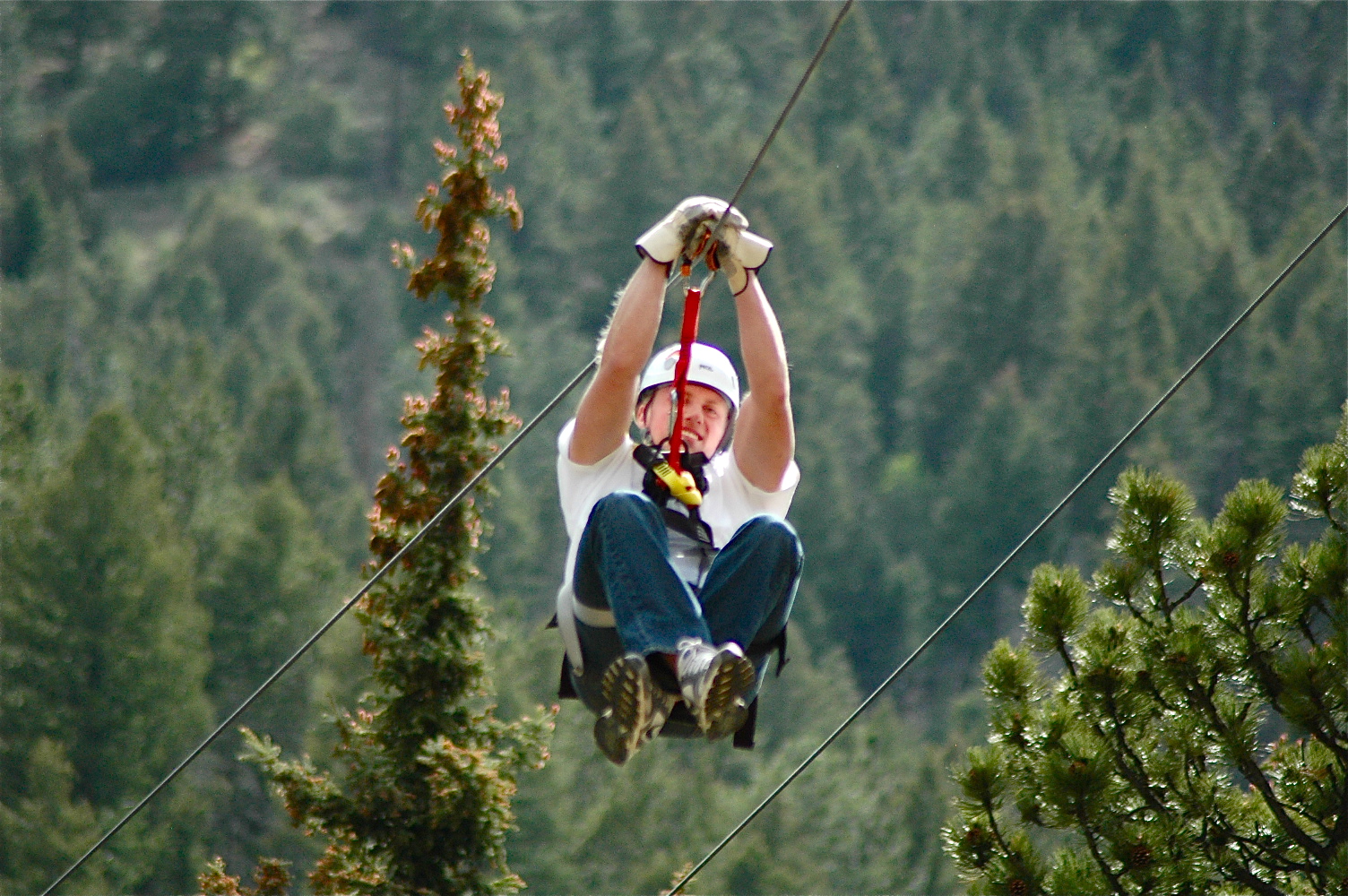 Soaring Above the Smoky Mountains by Zipline, Tennessee (image credits: wikimedia)
