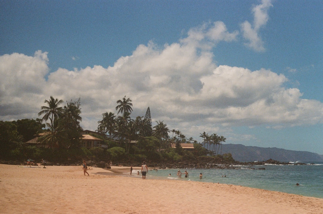 30. Kalapaki Beach Park, Kauai - Airport Runway Blues (image credits: unsplash)