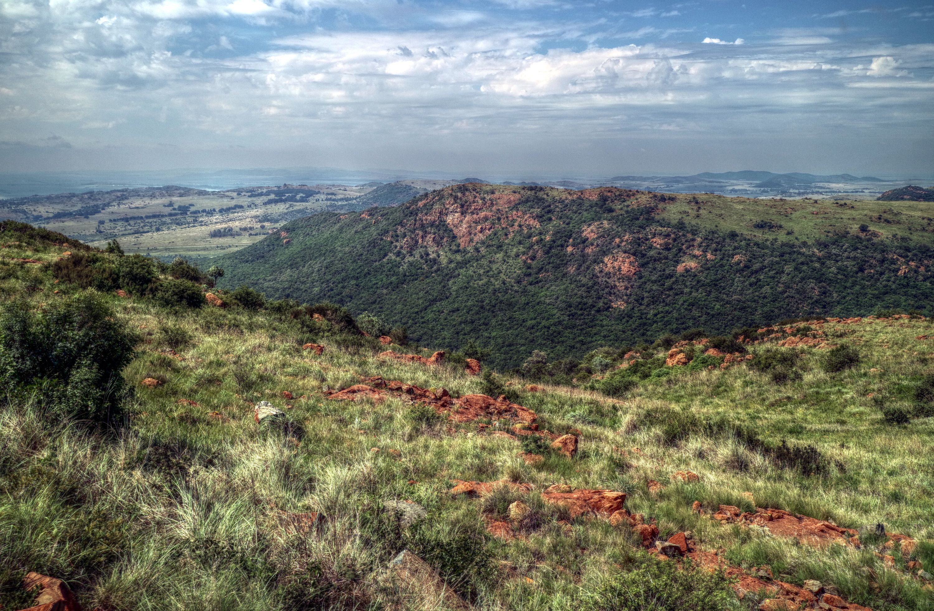 South Africa Contrasts at Every Turn (image credits: wikimedia)