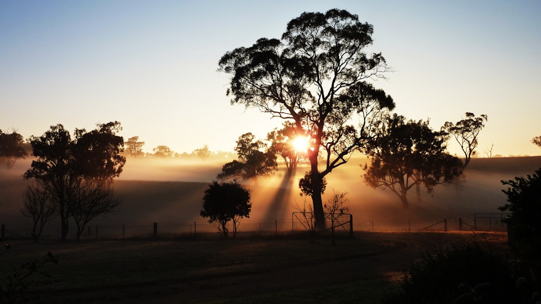Australia The Outback’s Pure Breath (image credits: unsplash)