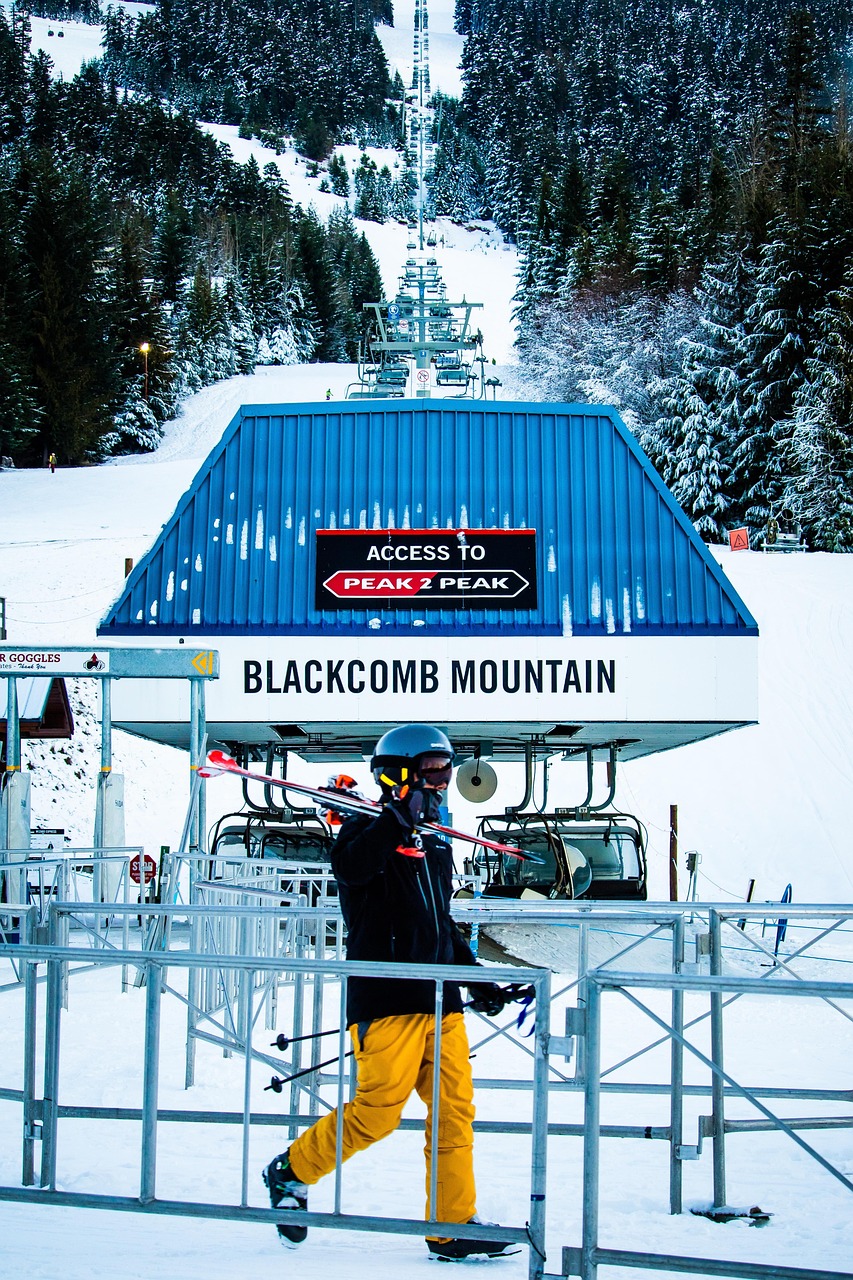 Whistler: Ski Slopes Packed to the Brim (image credits: pixabay)
