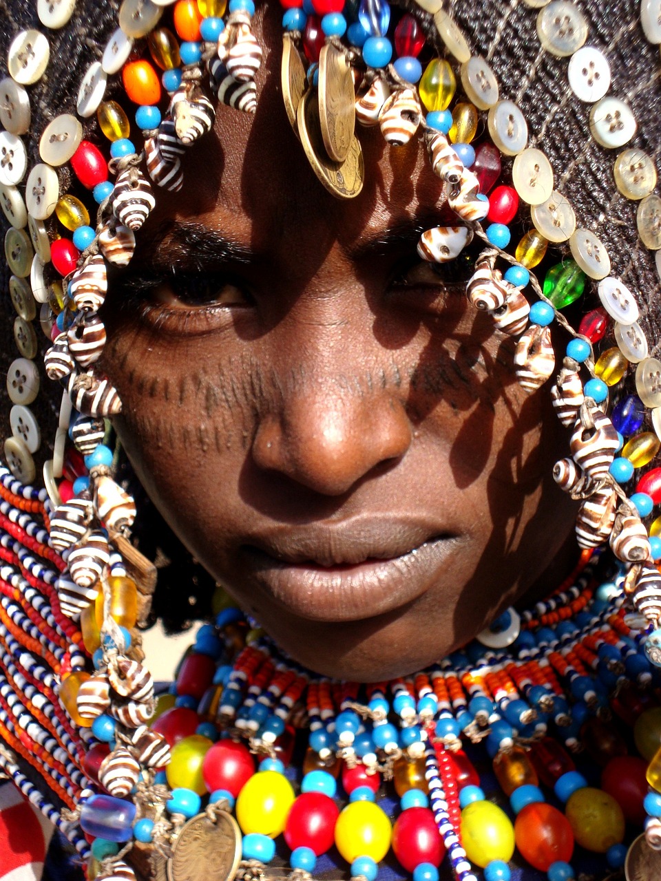 Nomadic Survival: The Afar People’s Harsh Existence (image credits: pixabay)
