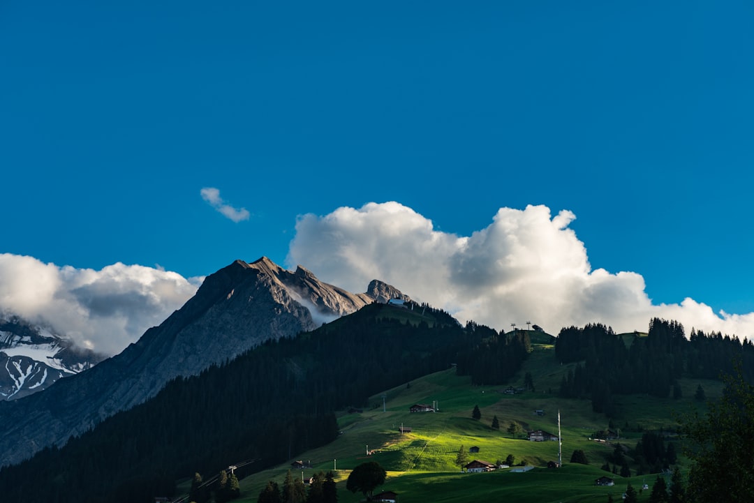 Switzerland: The Epitome of Peace (image credits: unsplash)