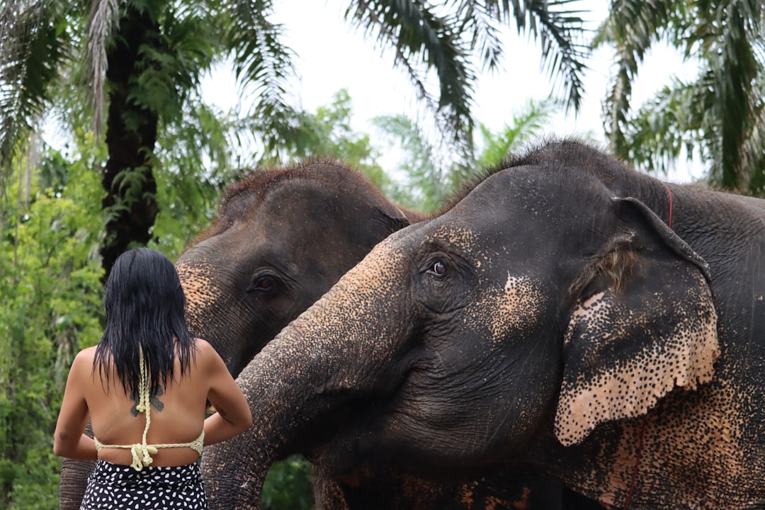 10. Engage in Responsible Wildlife Tourism (image credits: unsplash)