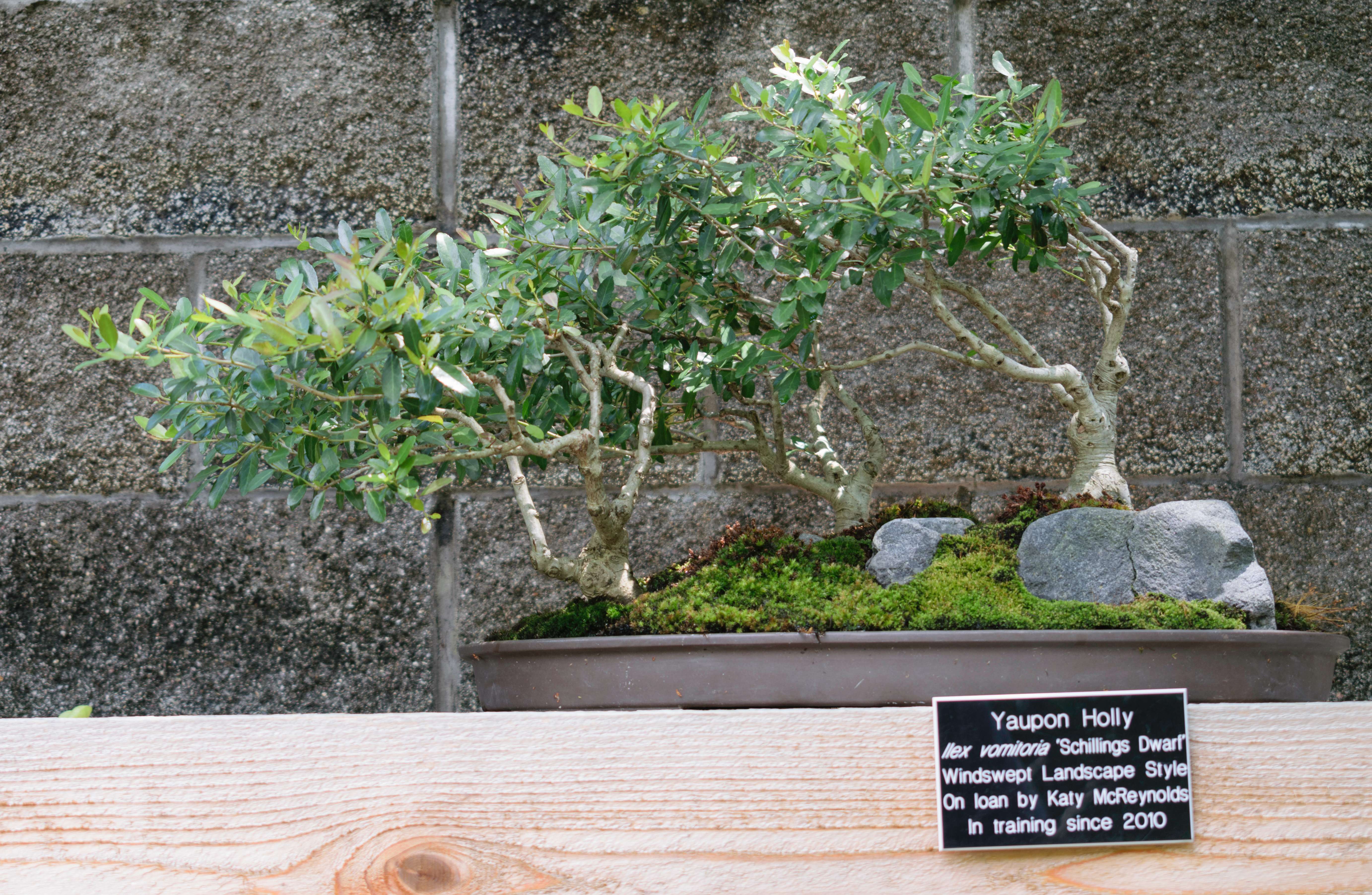 Japan: A Blend of Tradition and Tranquility (image credits: wikimedia)