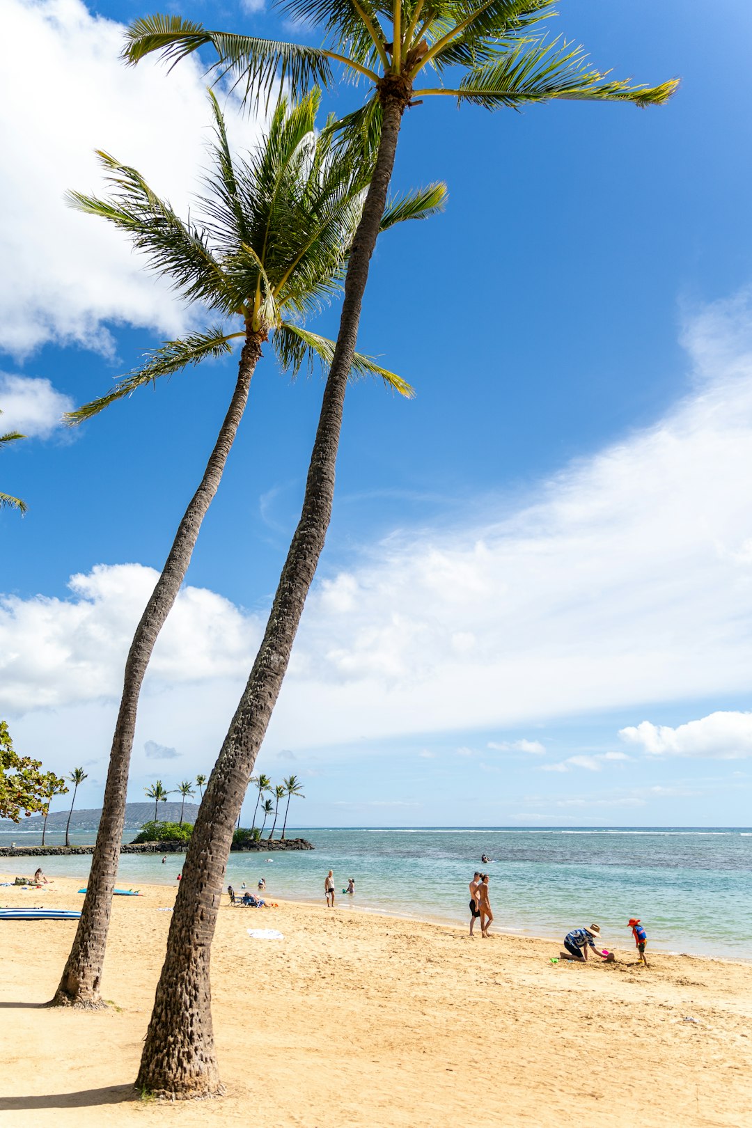 Honolulu's Island Paradise Under Pressure (image credits: unsplash)