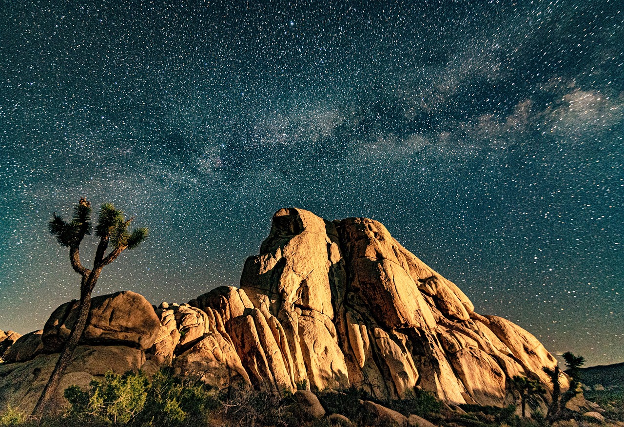 Joshua Tree National Park, California (image credits: pixabay)