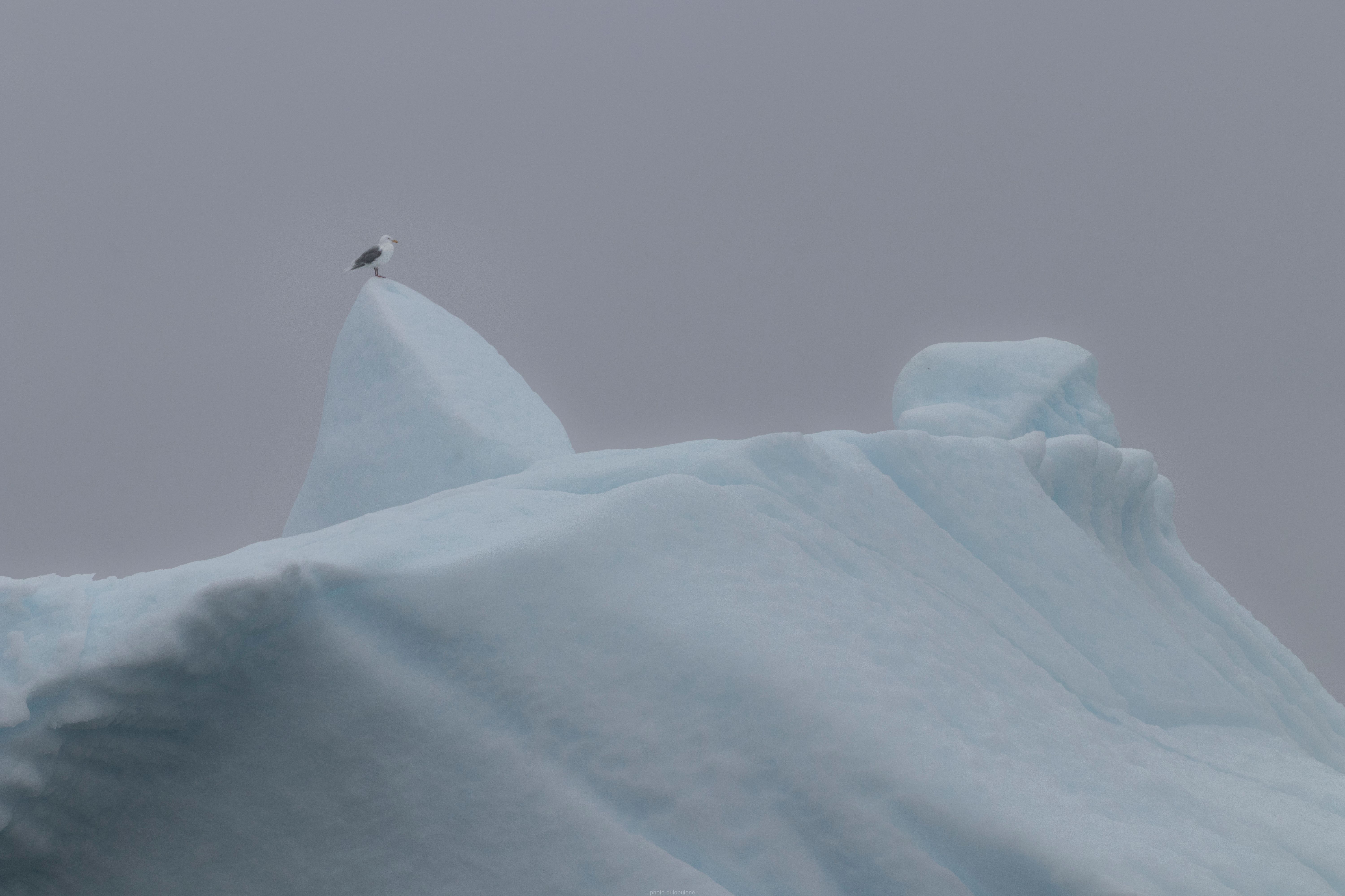 Greenland: The Icy Expanse (image credits: wikimedia)