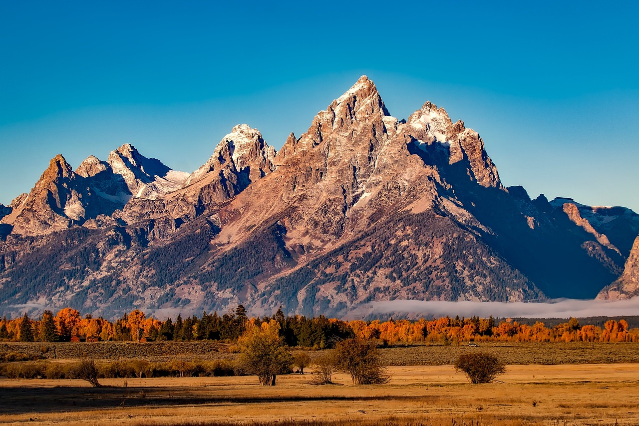 Travel Spending on the Rise: What the Future Holds (image credits: pixabay)