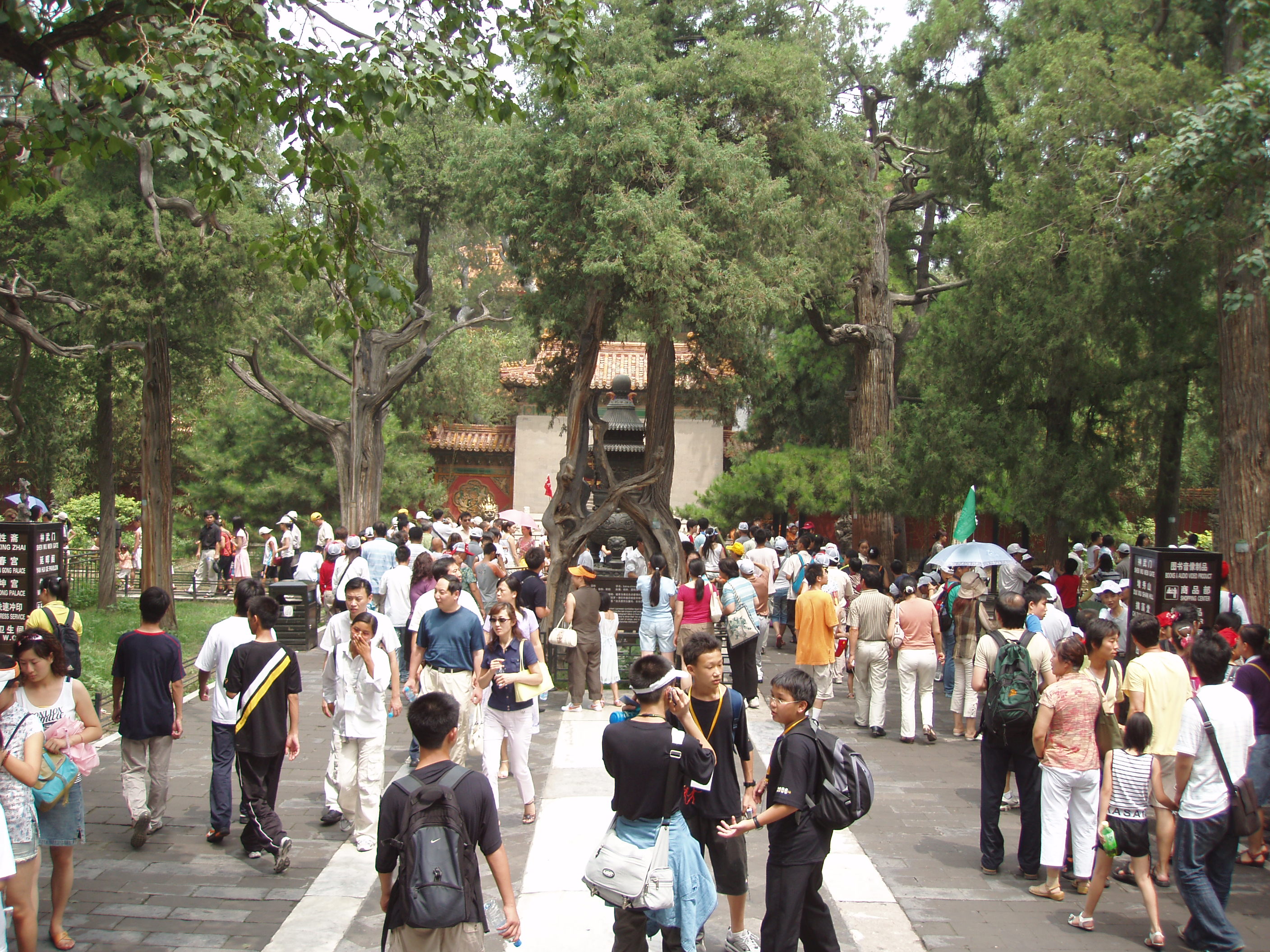 Overcrowded Destinations (image credits: wikimedia)