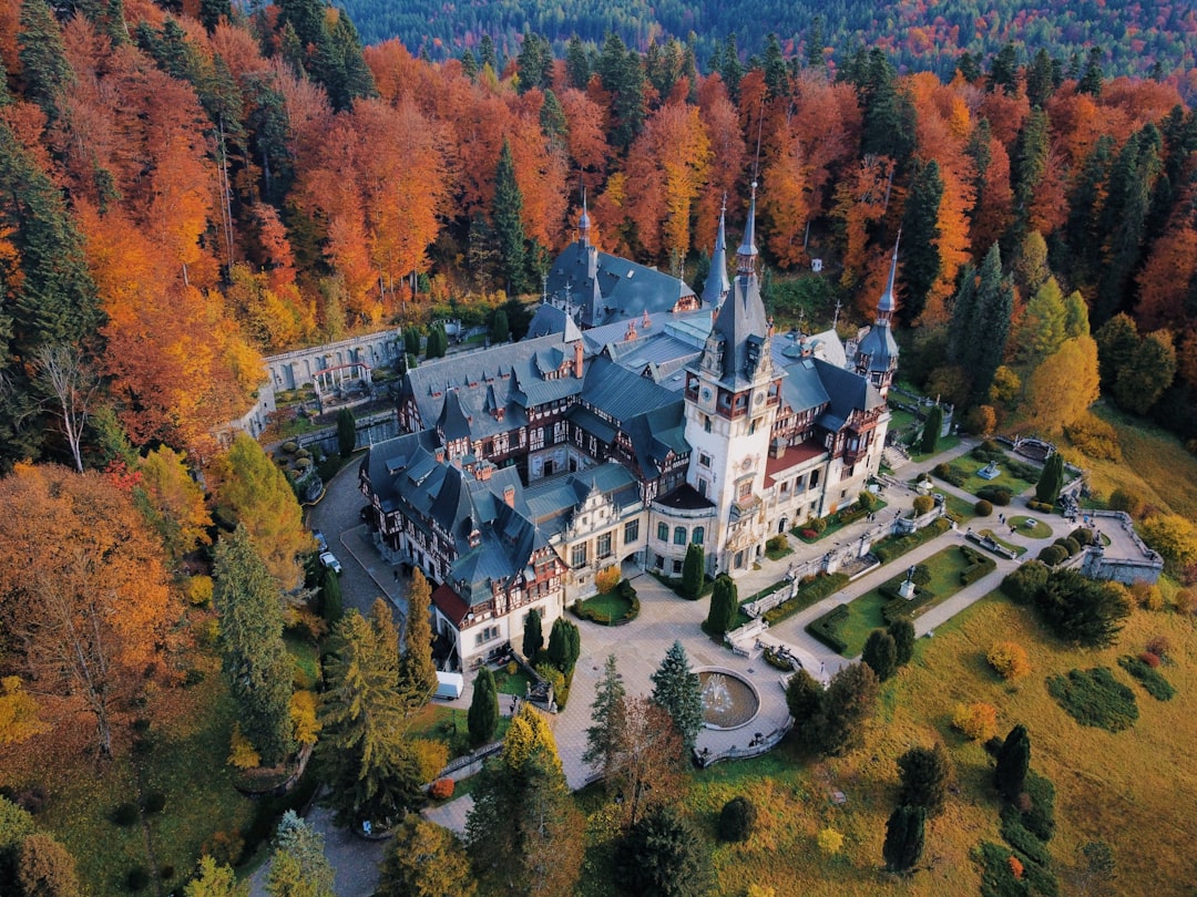 Romania: Castles, Mountains, and Budget Adventures (image credits: unsplash)