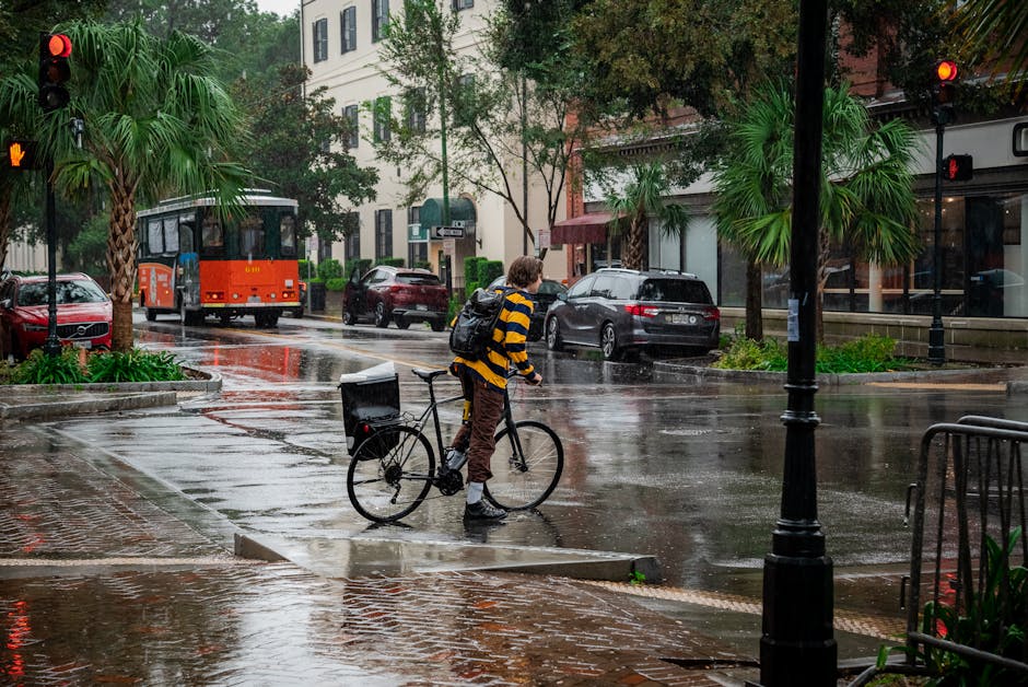 8. Accessibility and Walkability (image credits: pexels)