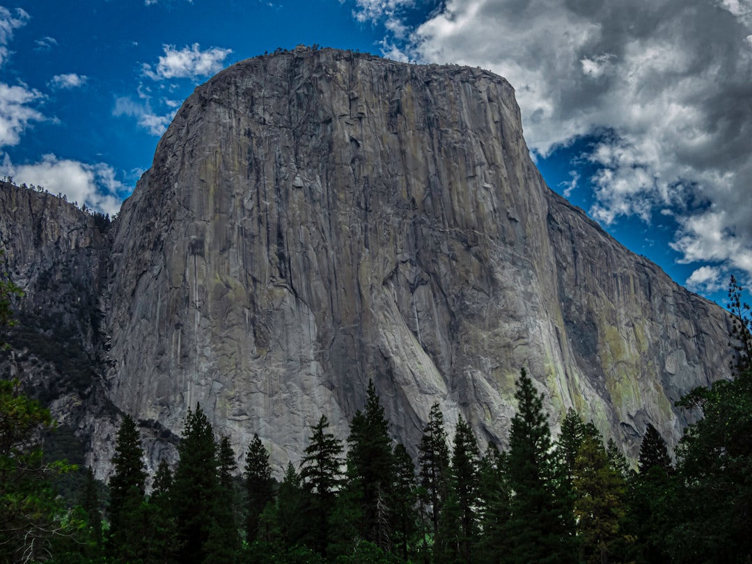 4. The Dawn Wall (2017) (image credits: unsplash)