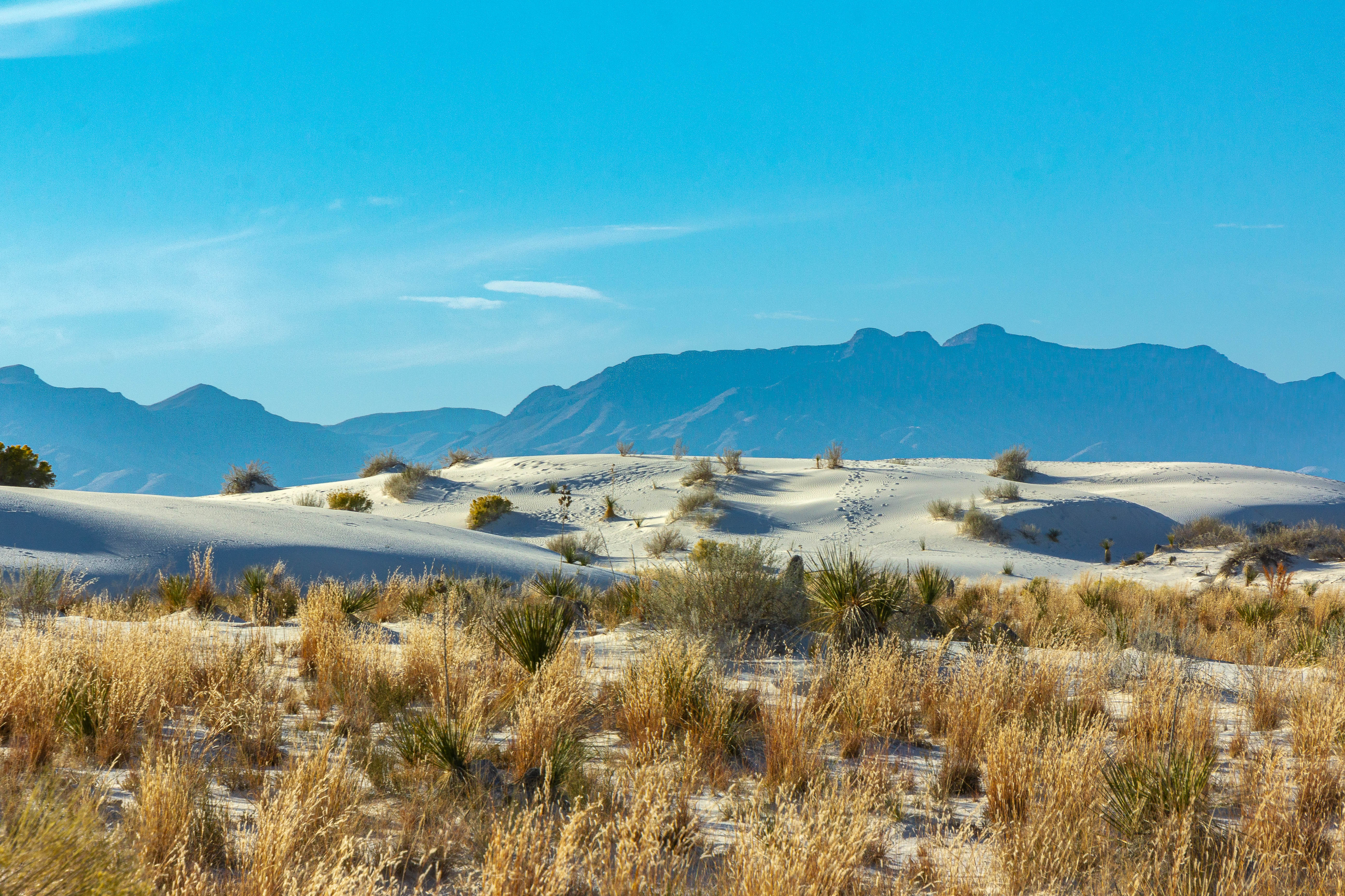 4. White Sands National Park, New Mexico (image credits: wikimedia)