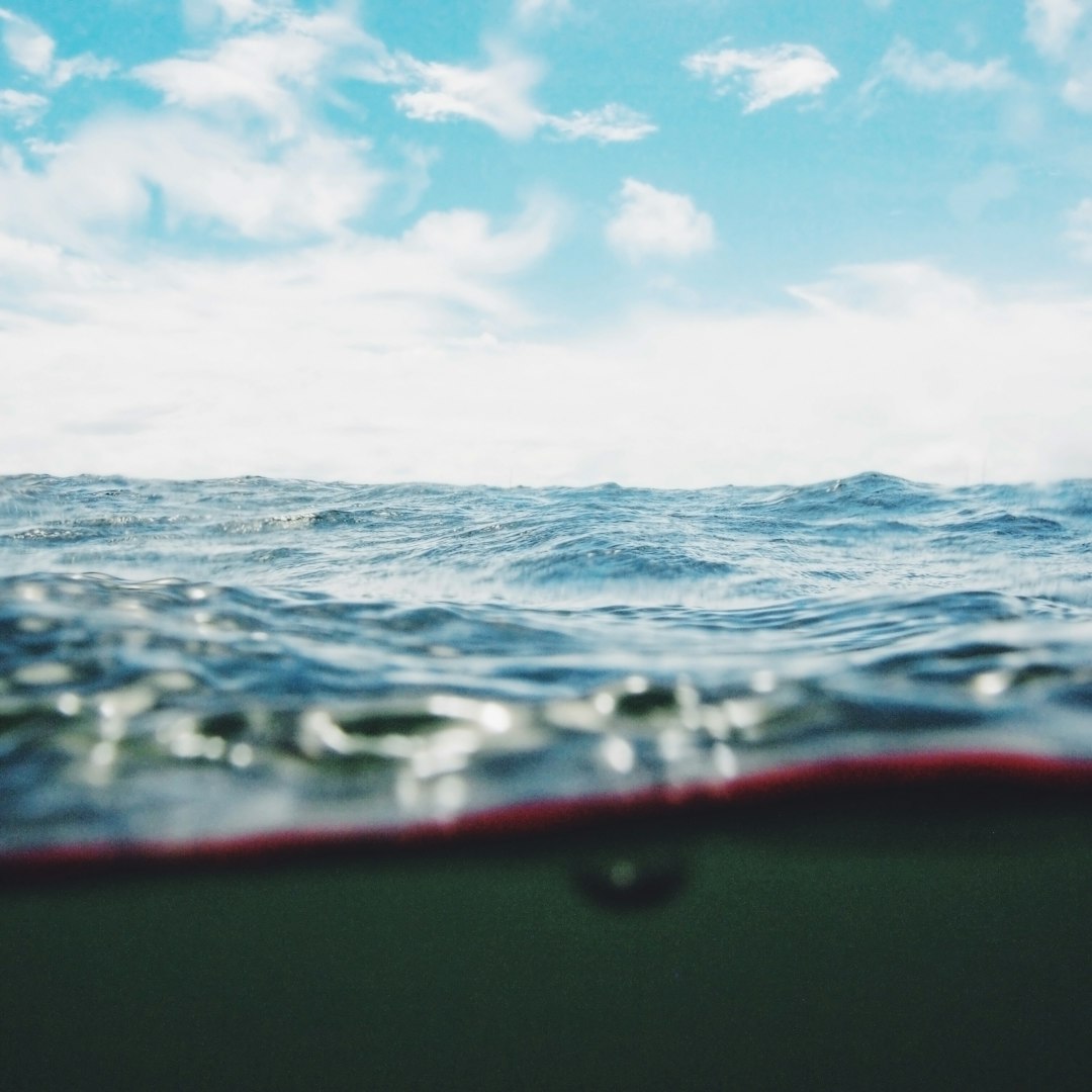 Costa Rica Pura Vida Every Day (image credits: unsplash)
