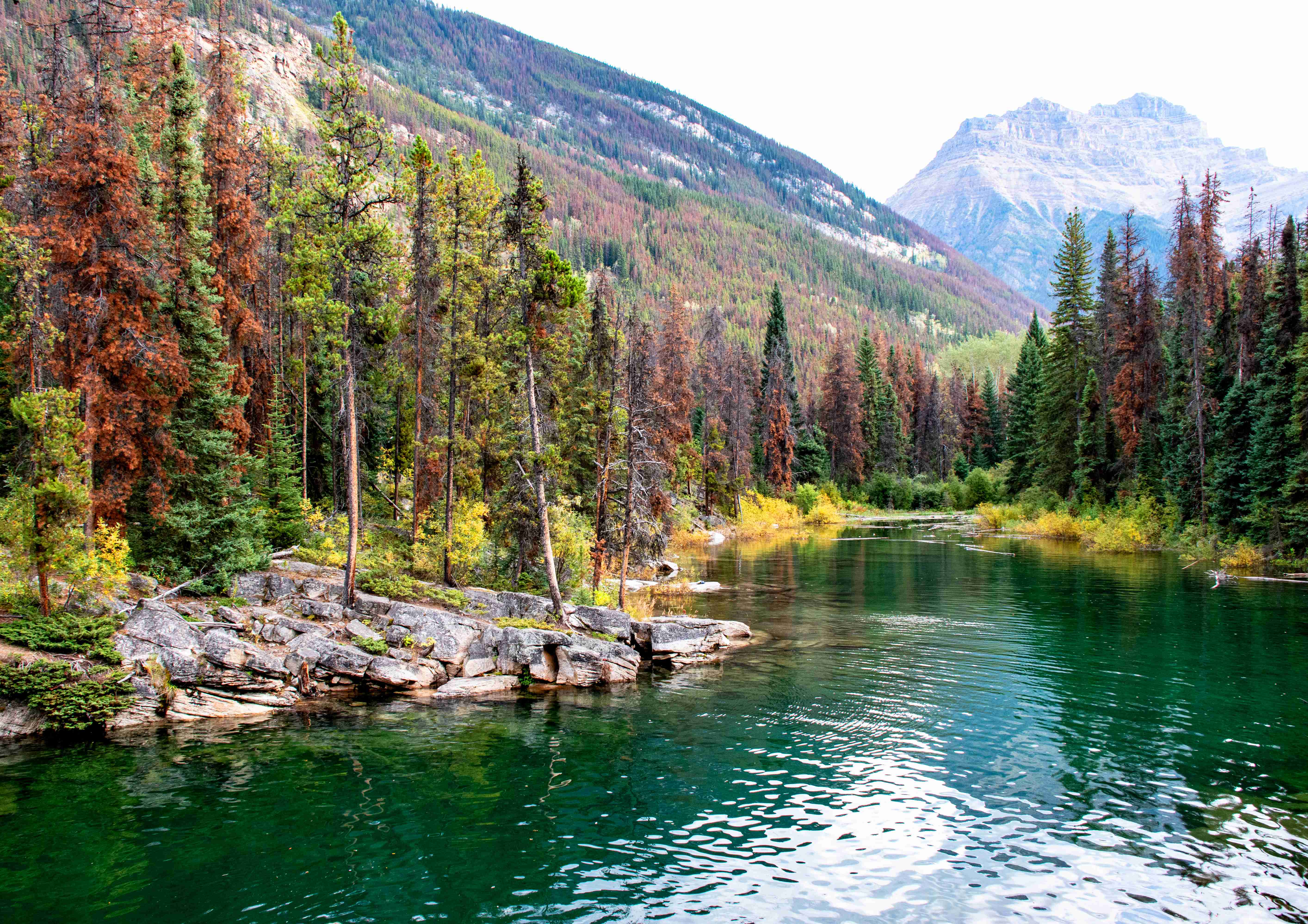 Jasper, Alberta (image credits: wikimedia)