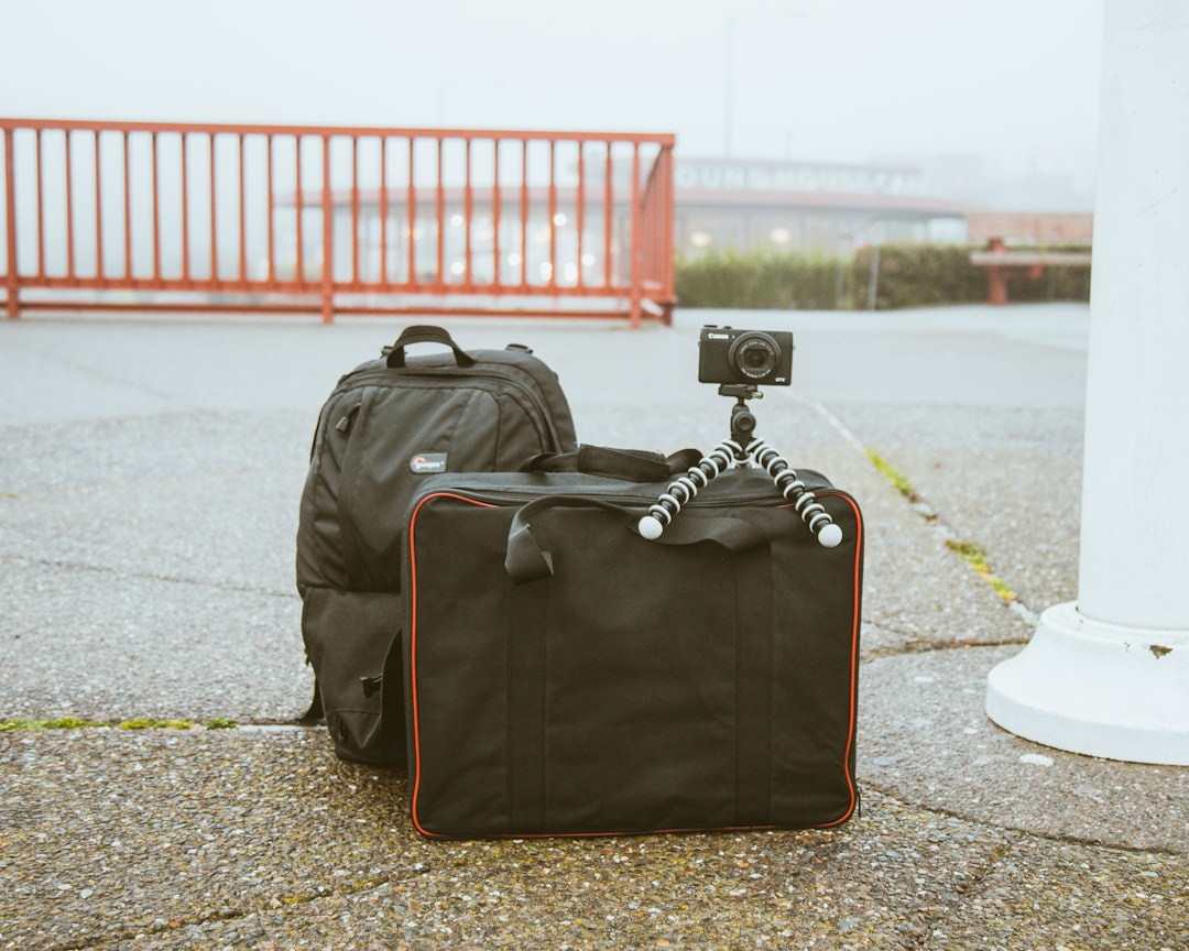 Use Compression Bags (image credits: unsplash)