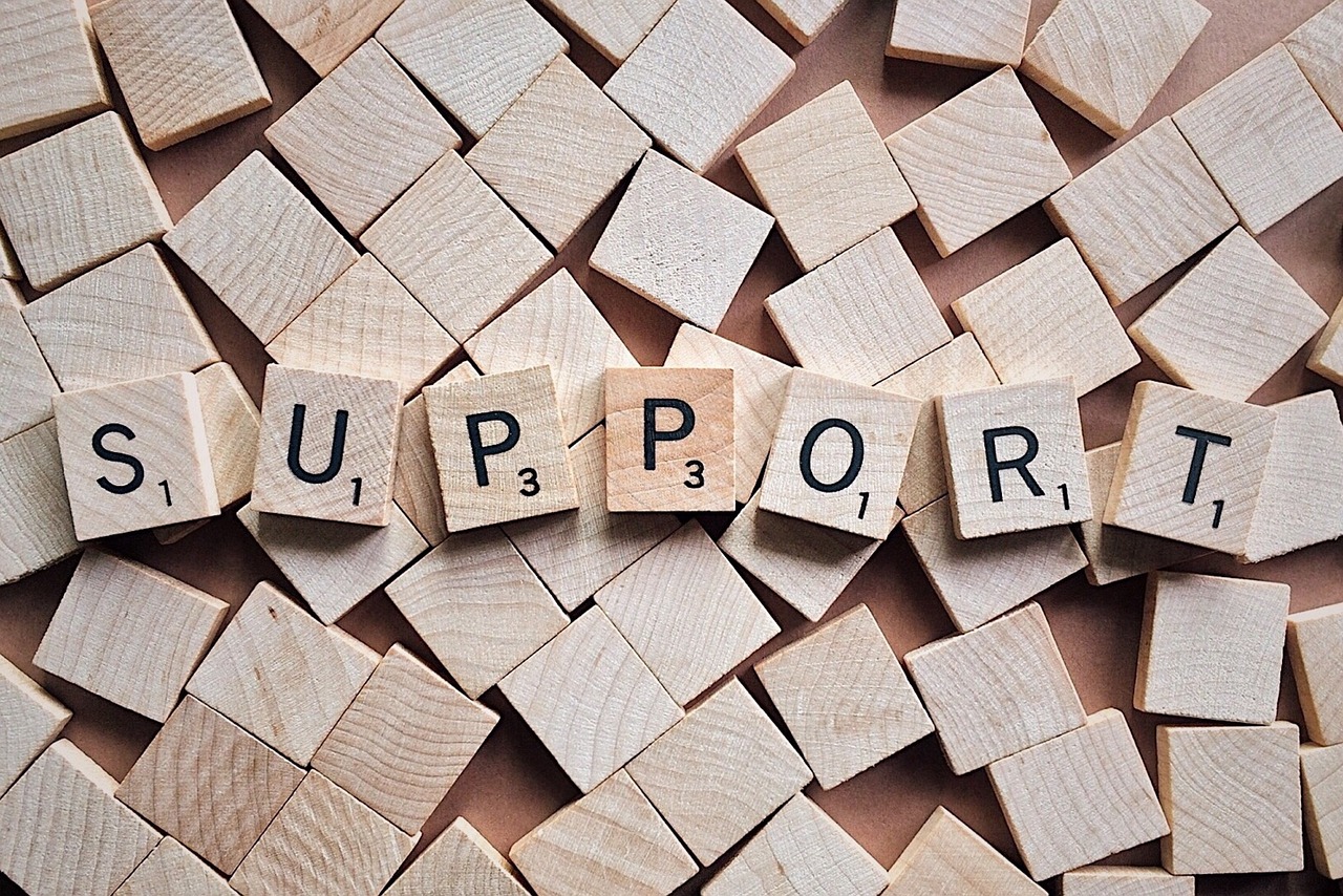 The Role of Customer Support (image credits: pixabay)
