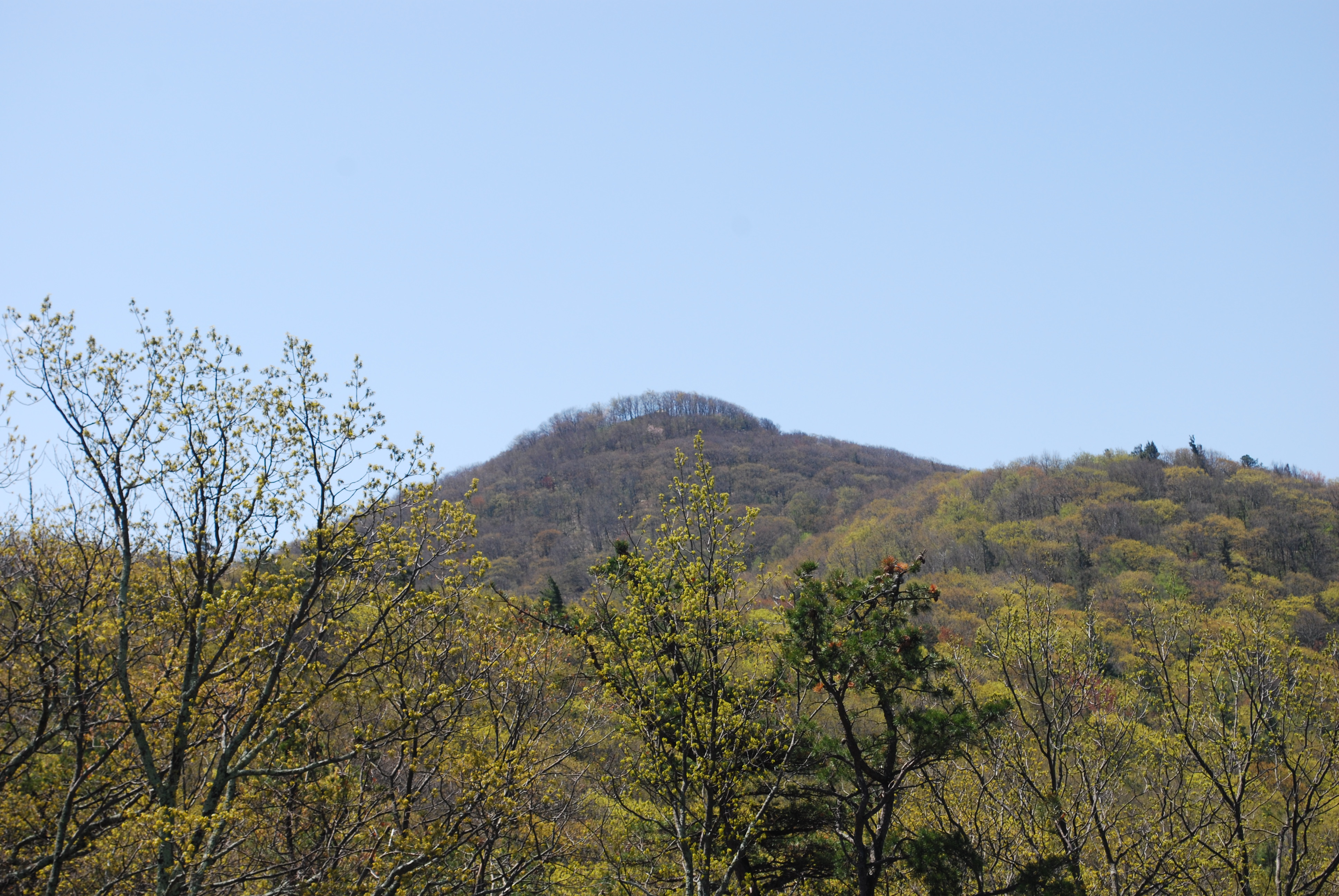 Shenandoah Skyline Views and Mountain Quiet (image credits: wikimedia)