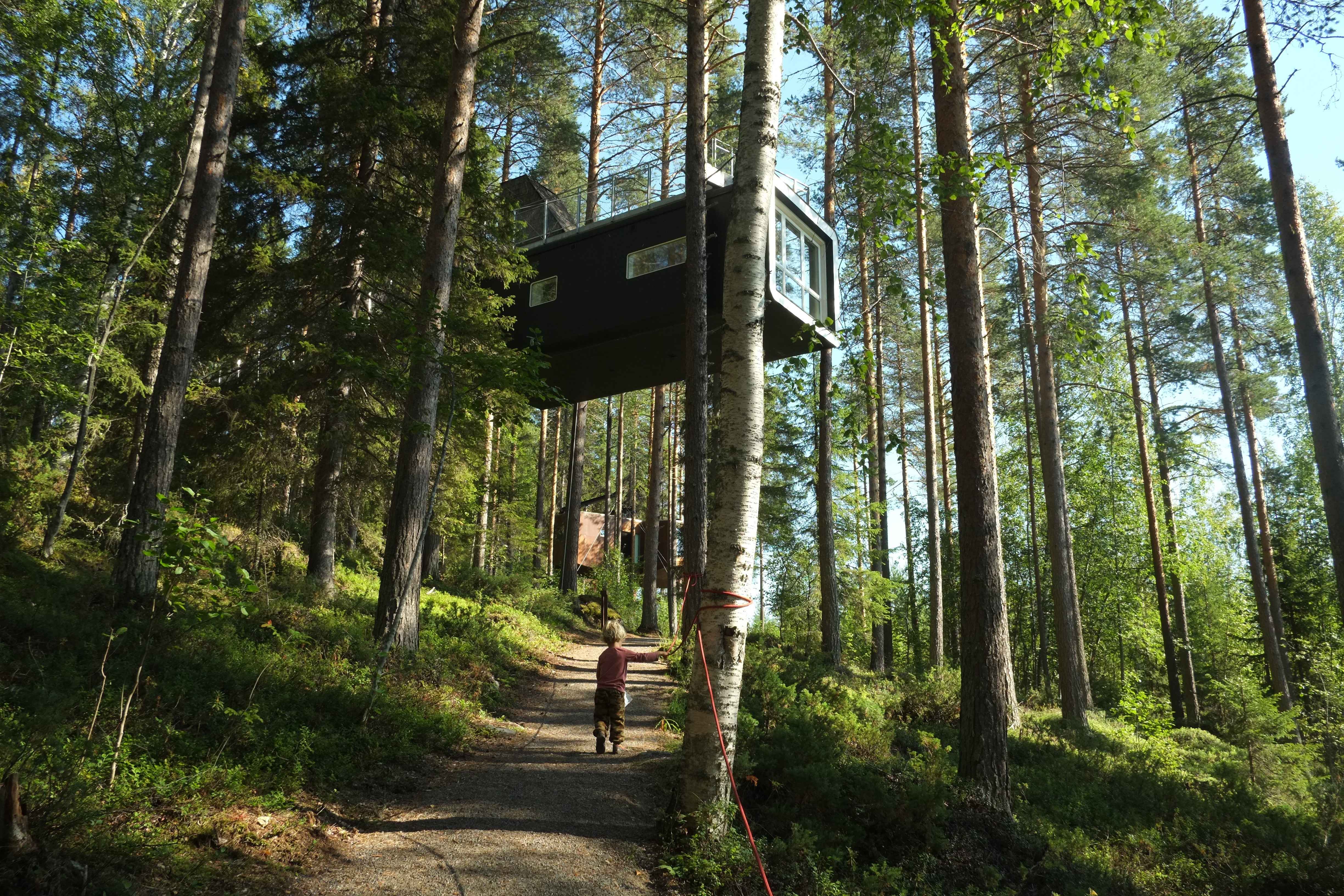 The Treehotel, Sweden (image credits: wikimedia)