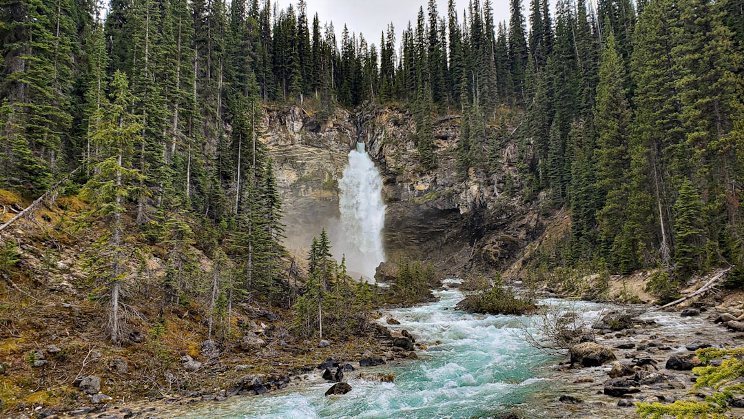 Canada: Nature’s Reservoir (image credits: unsplash)