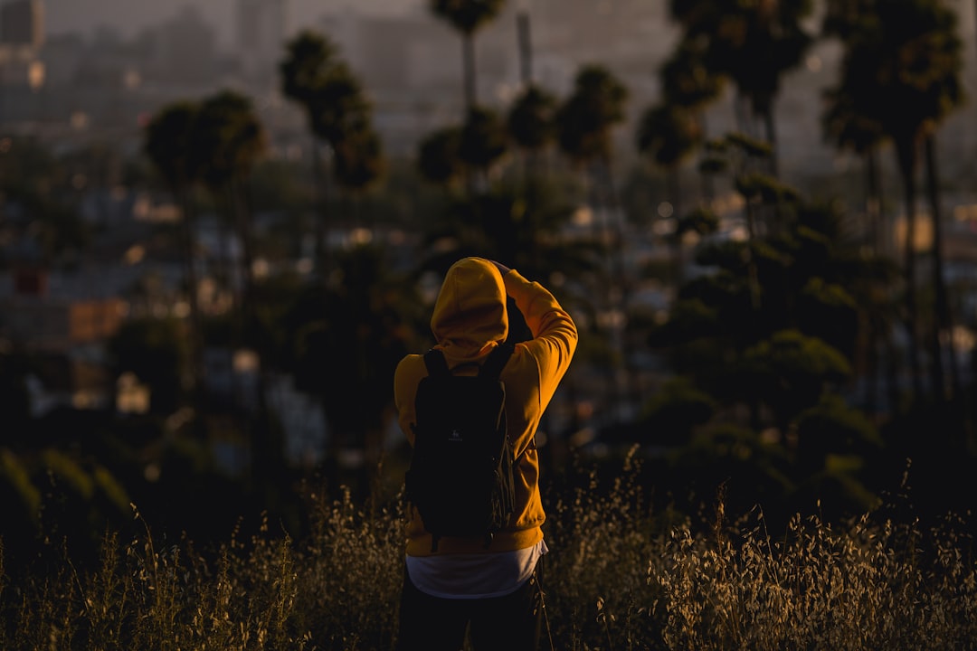 Learning to Listen: Tuning In to Yourself—and the World (image credits: unsplash)