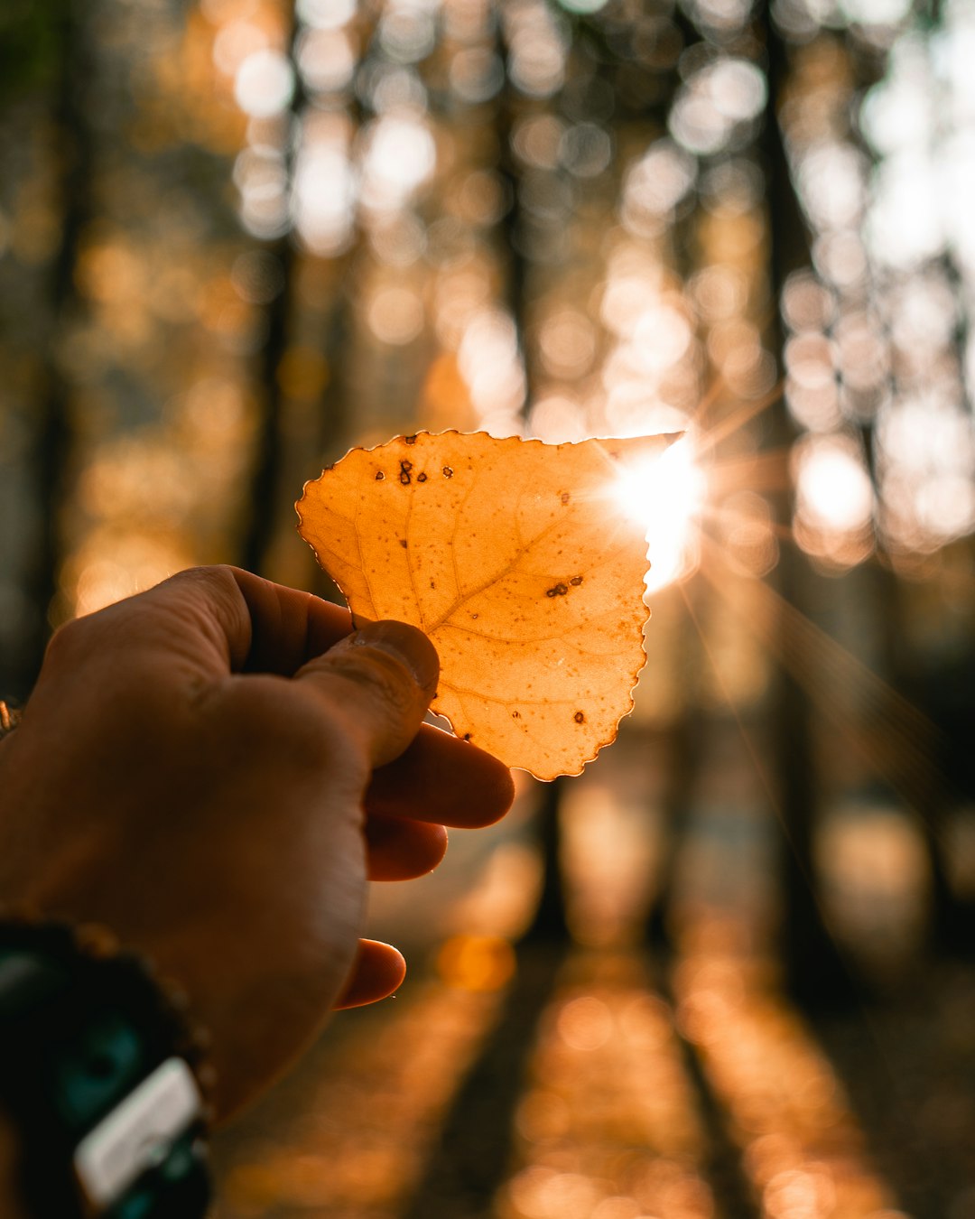 Understanding Company-Specific PTO Policies and Legal Changes (image credits: unsplash)