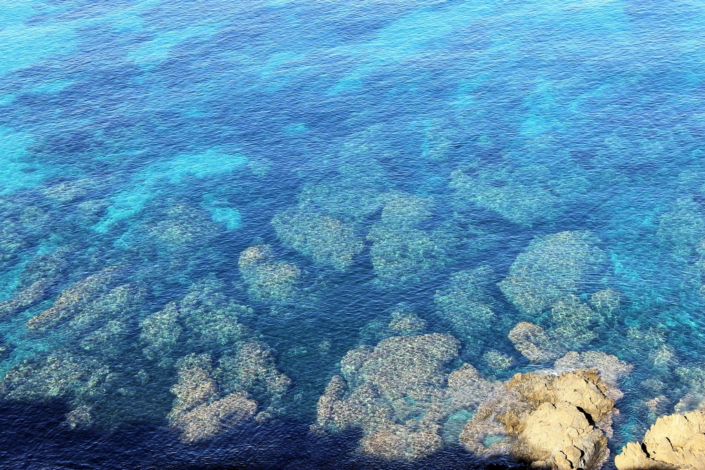 Environmental Concerns (image credits: rawpixel)