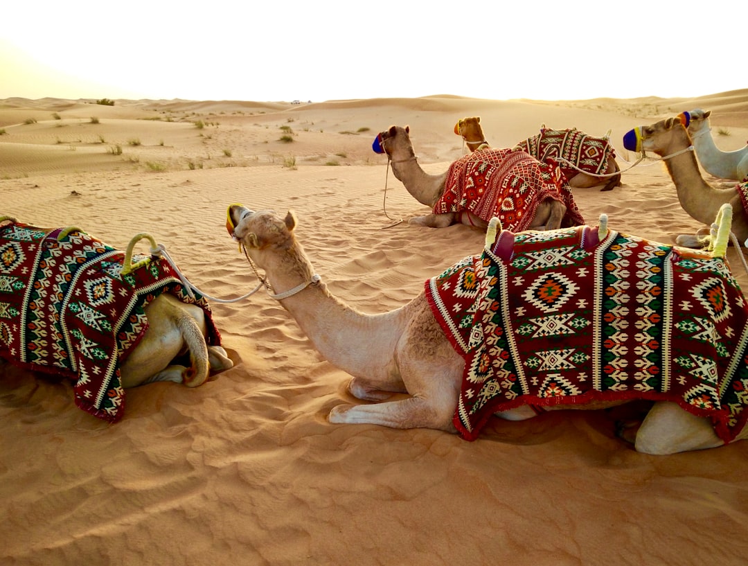 Dubai Desert, United Arab Emirates: The Mirage of Modern Adventure (image credits: unsplash)