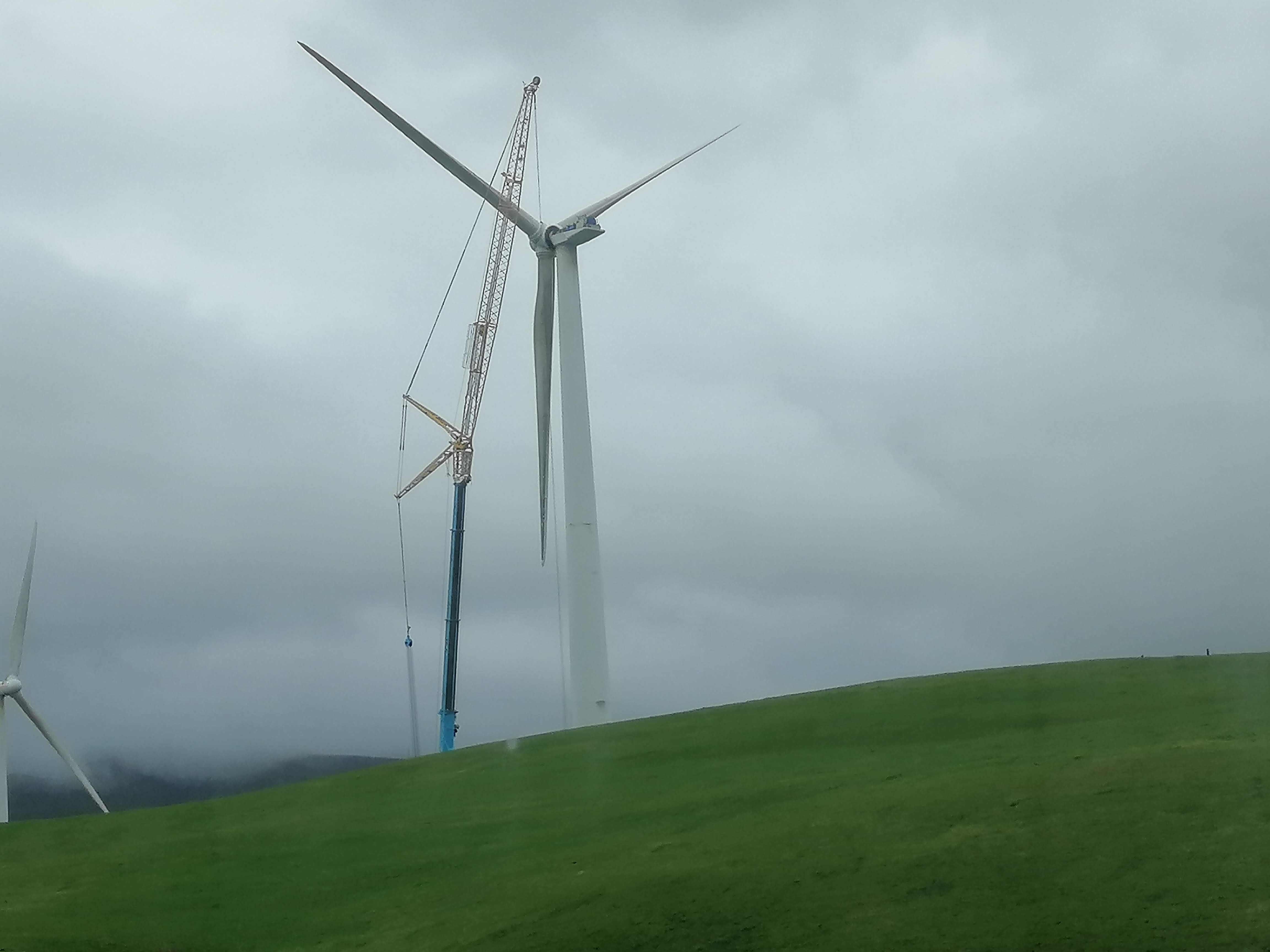 New Zealand: A Green Energy Pioneer (image credits: wikimedia)