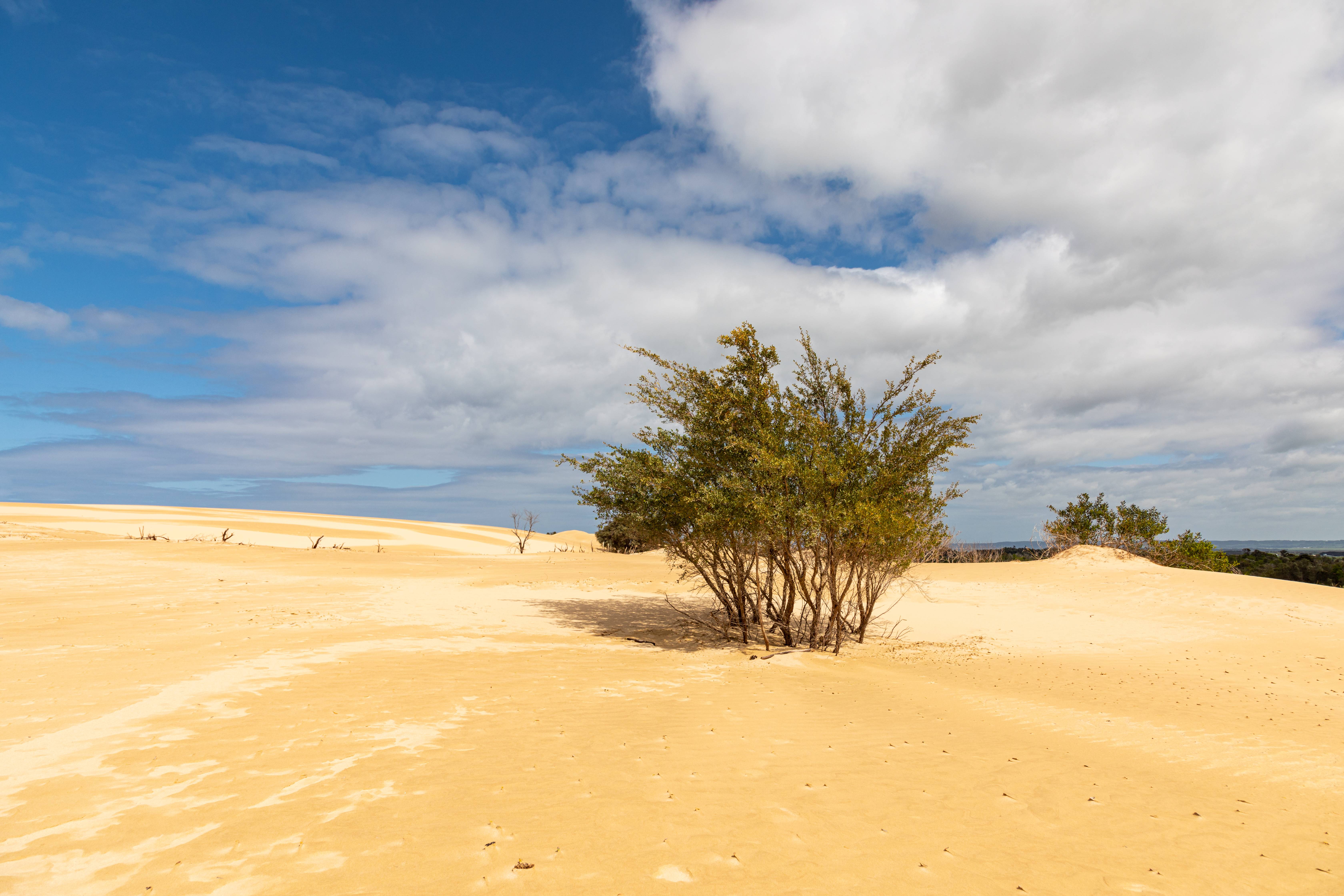 Australia: From Coastlines to Alpine Heights (image credits: wikimedia)