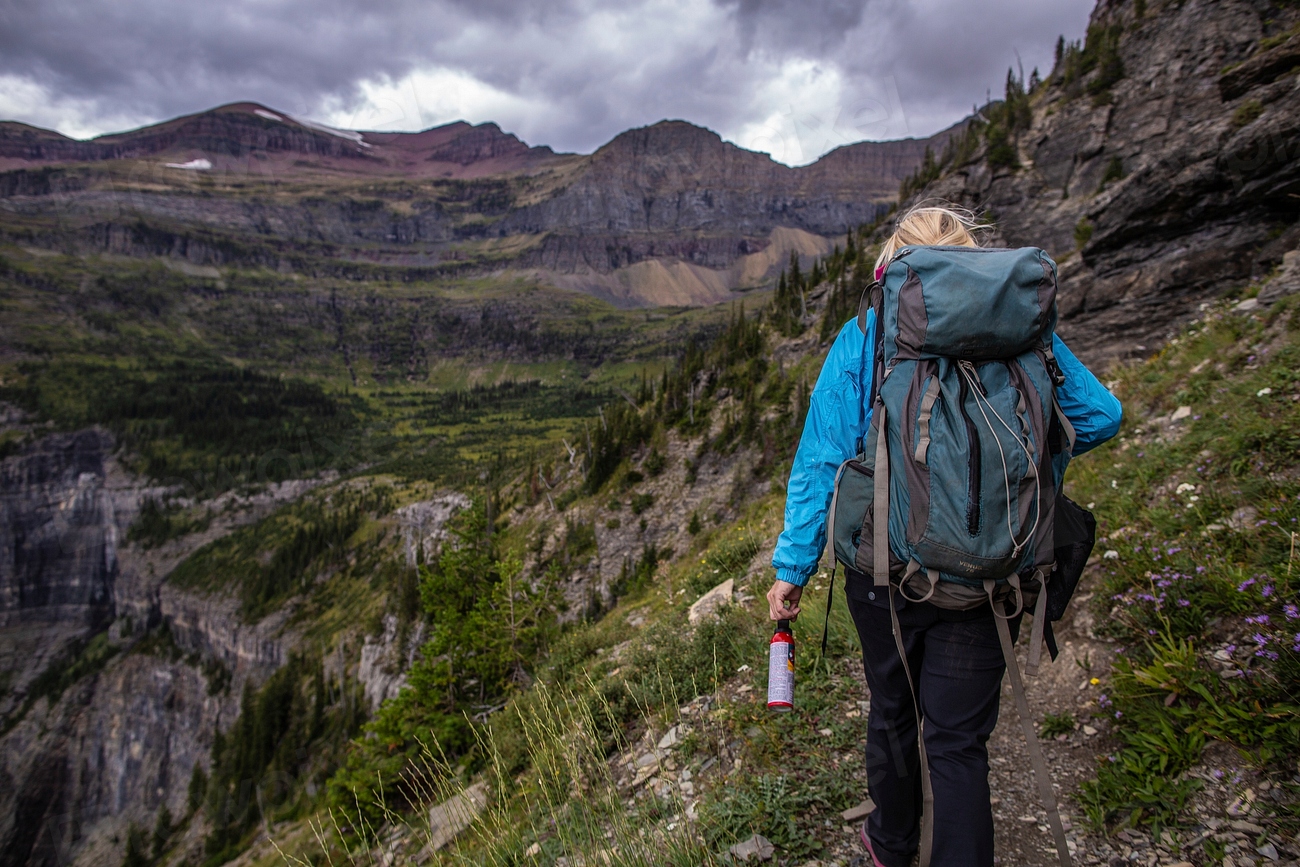 The Bear Mountain Trail, New York (image credits: rawpixel)