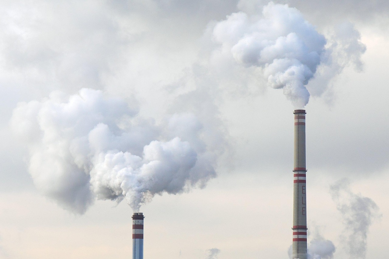 United States: Progress and Pitfalls (image credits: pixabay)