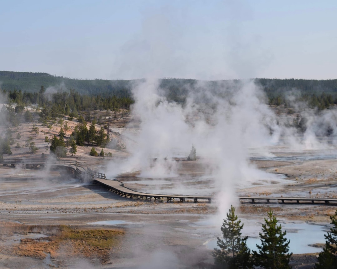 Yellowstone National Park, USA (image credits: unsplash)