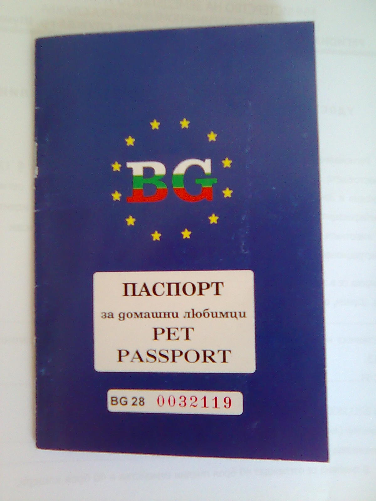 Navigating International Travel (image credits: wikimedia)