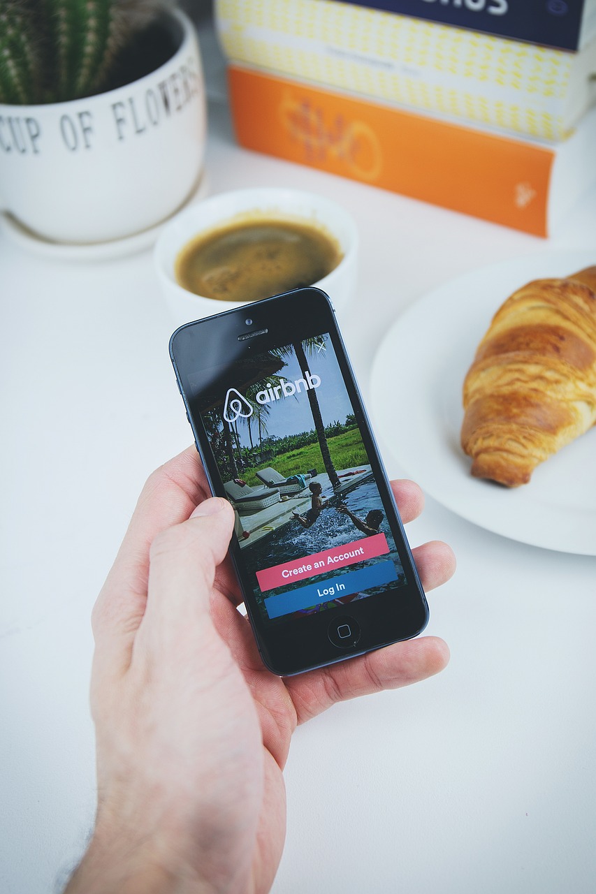 The Rise of Airbnb and Its Impact on Travel (image credits: pixabay)