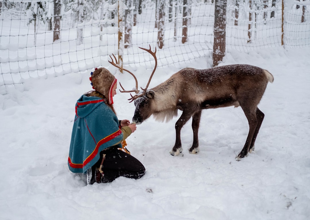 Finland: Pure Tranquility Among Lakes and Forests (image credits: unsplash)