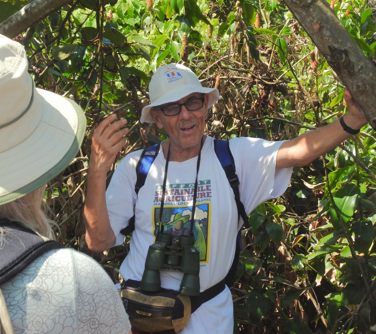 Environmental Concerns and Sustainable Travel Choices (image credits: wikimedia)