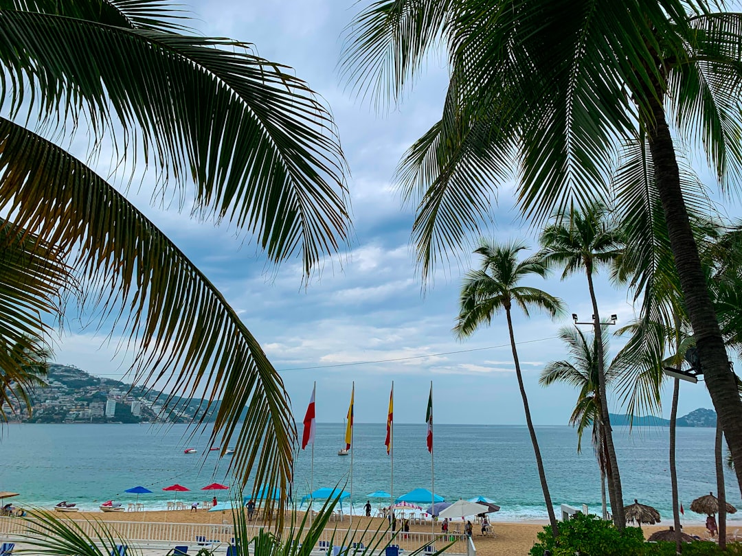 Acapulco, Mexico - Paradise Lost to Violence (image credits: unsplash)