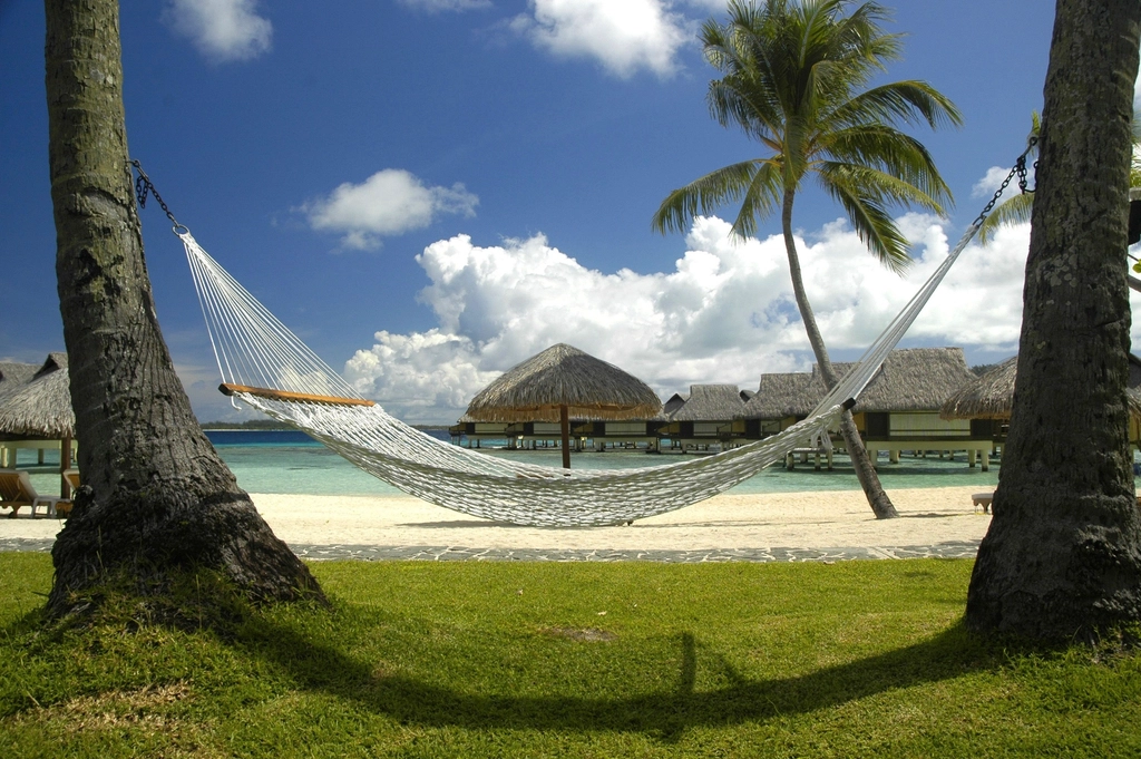 Less Stress More Wonder (image credits: rawpixel)