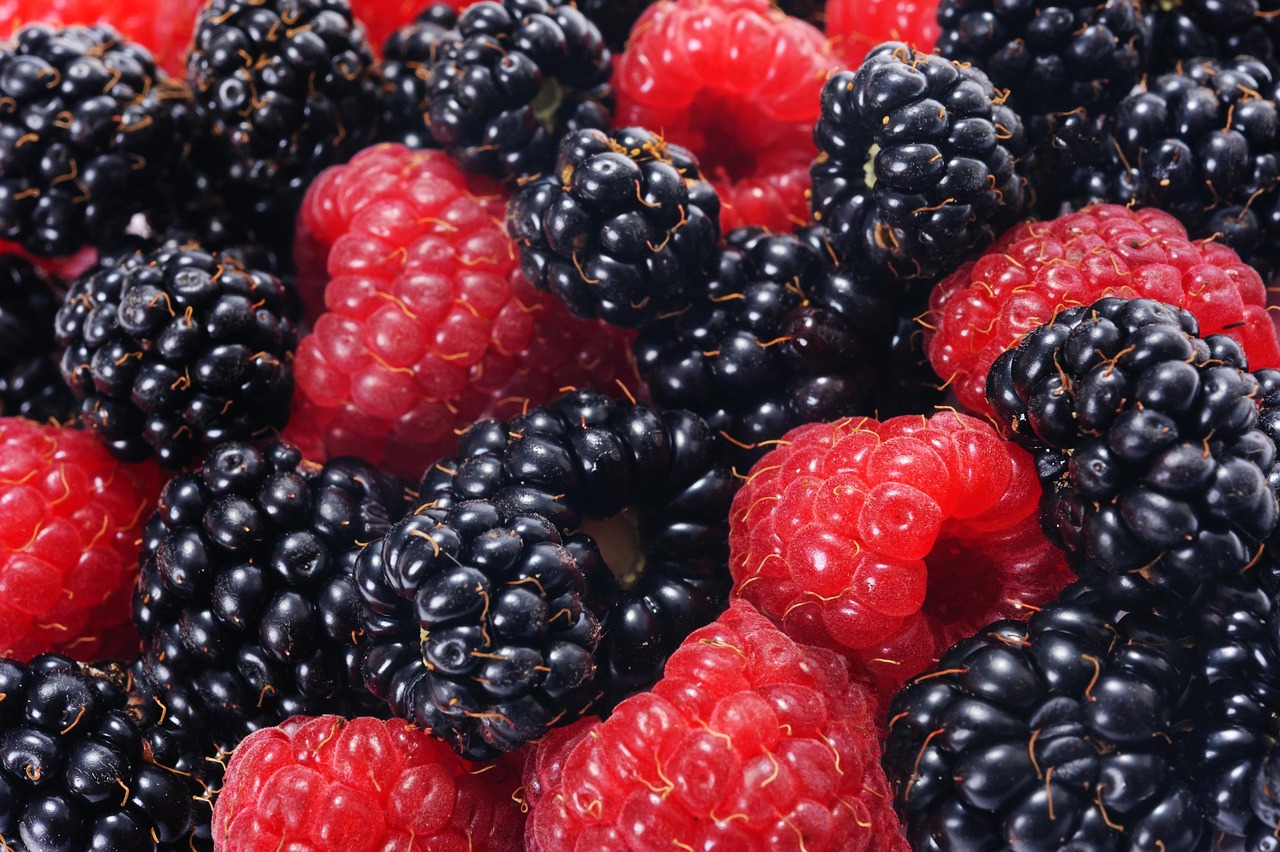 Flavors of the Forest (image credits: pixabay)